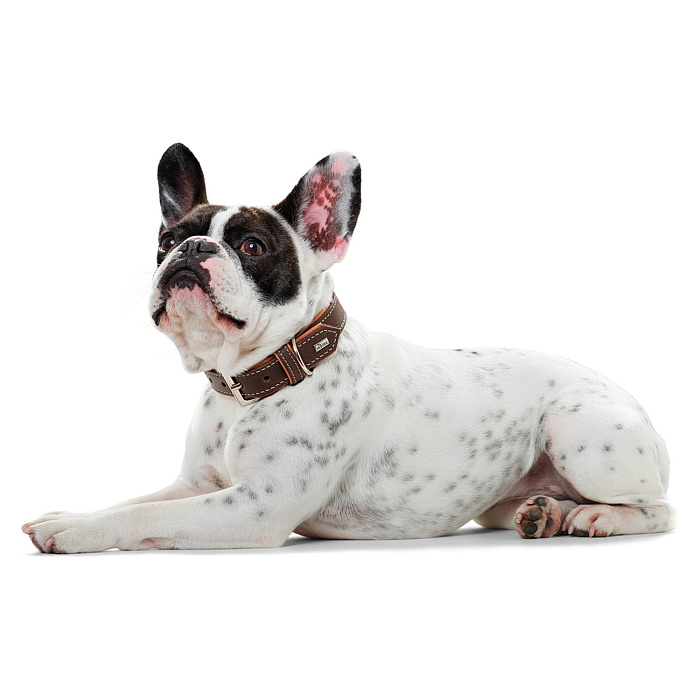 Hunter ошейник для собак Porto 60 (46-52 см) / 3,5 натуральная кожа коньячный / темно-коричневый СКИДКА 50%