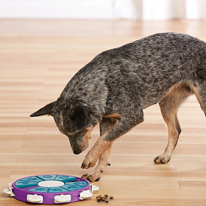 Nina Ottosson игра-головоломка для собак Twister, 3 (продвинутый) уровень сложности СКИДКА 30%