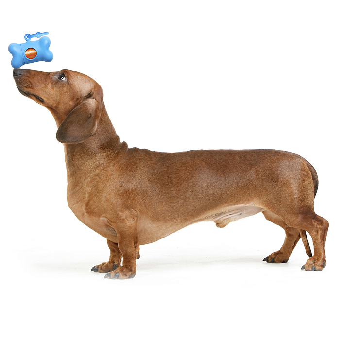 United Pets набор для уборки "BON TON", цвета в ассортименте СКИДКА 50%