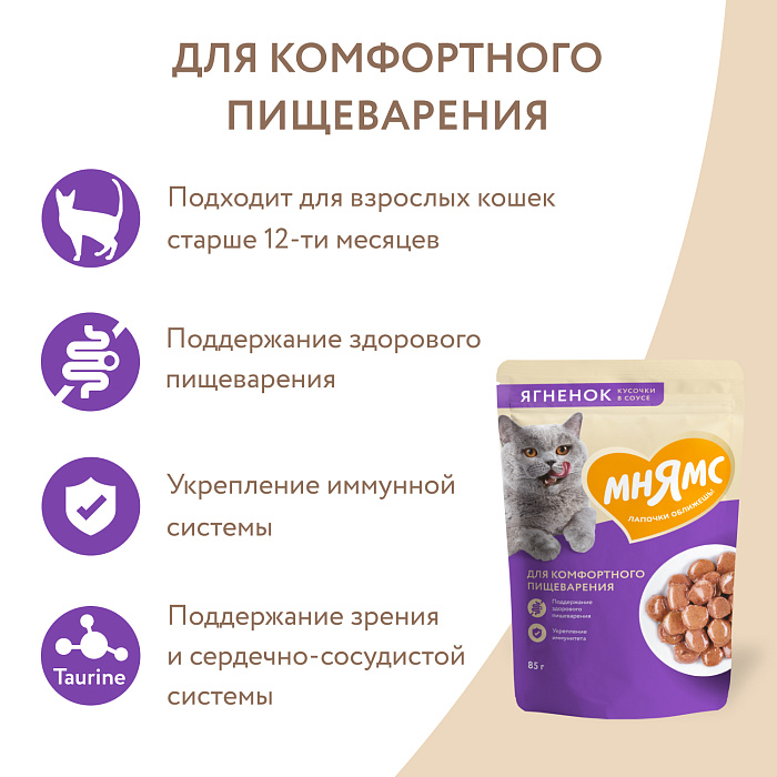 Влажный корм Мнямс На каждый день Кусочки в соусе с ягненком для комфортного пищеварения у кошек 85 г