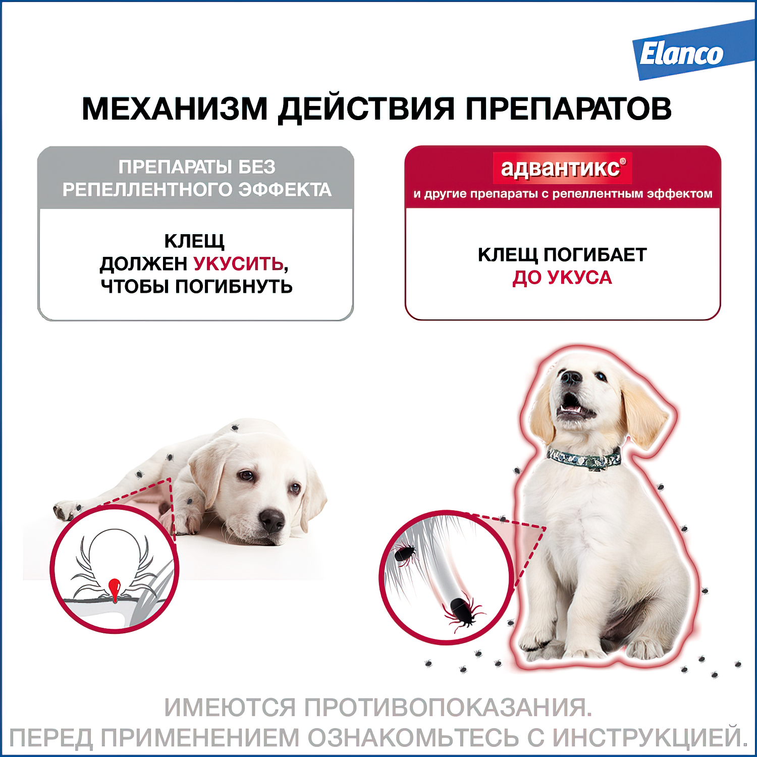 Bayer Адвантикс 100 С для собак 4-10 кг от блох, клещей и комаров (4 пипетки х 1 мл)