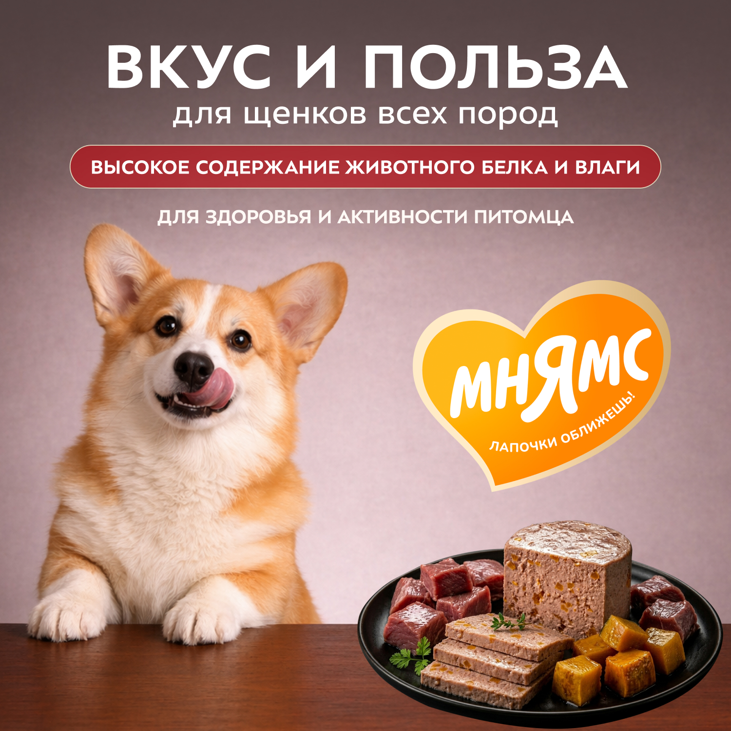 Влажный корм Мнямс Деликатес Паштет из телятины с тыквой для щенков всех пород "Асадо по-аргентински" 200 г