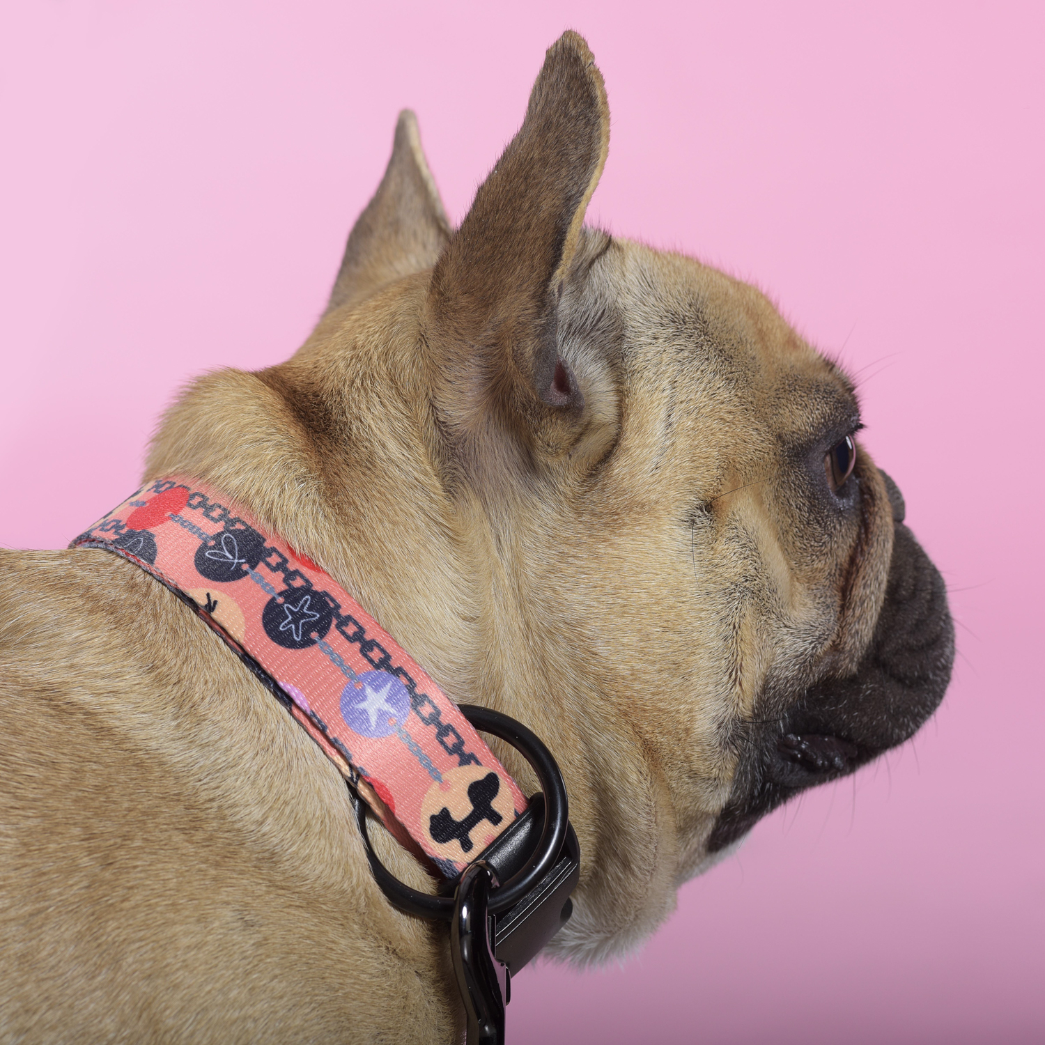 Ошейник United Pets для собак Complete me Forever L 43-73/2,5 см, оранжевый с рисунком