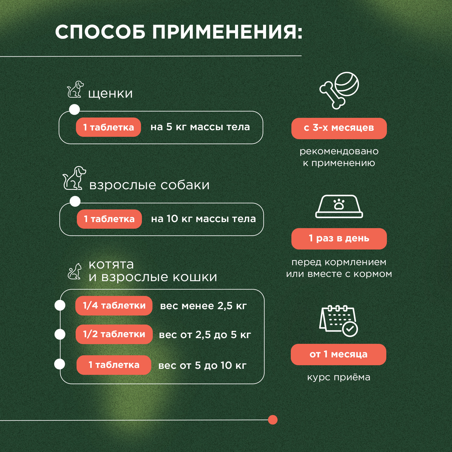 ProPhyto Мультивитамин, 70 таблеток