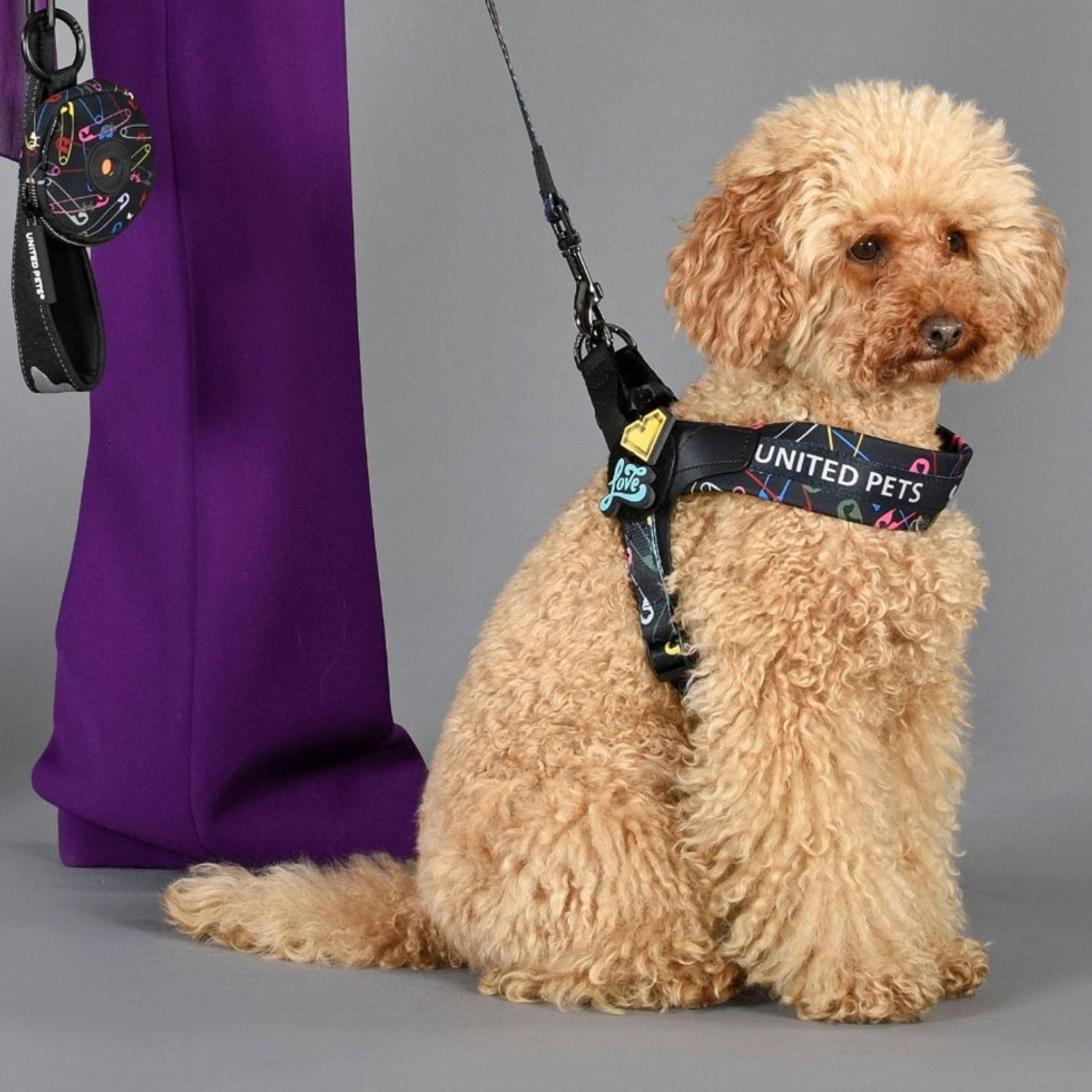 Шлейка United Pets для собак Complete me 1.5 - XS 34-42, черный с разноцветными булавками СКИДКА 30%