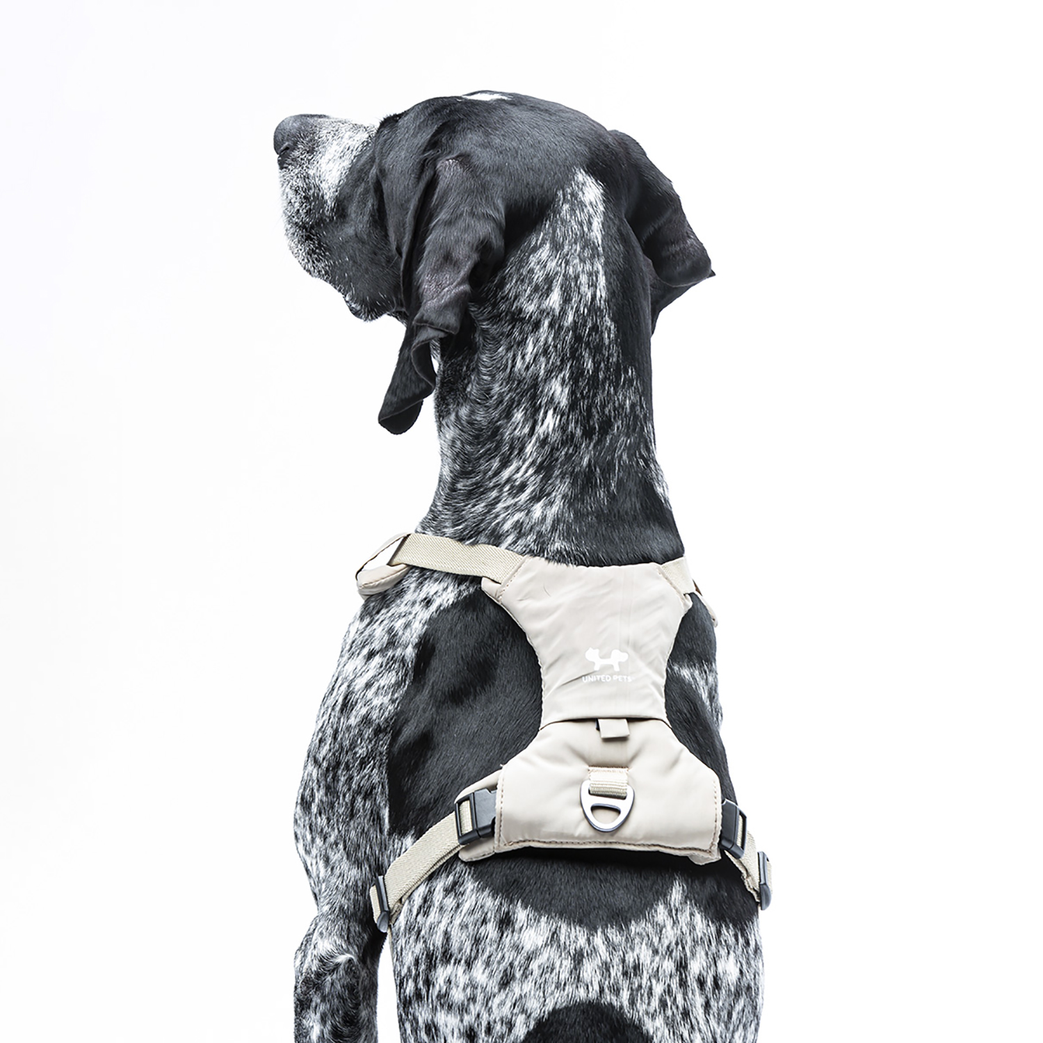 Шлейка United Pets для собак Citylife Y-образная M 20 x 57-78, бежевый