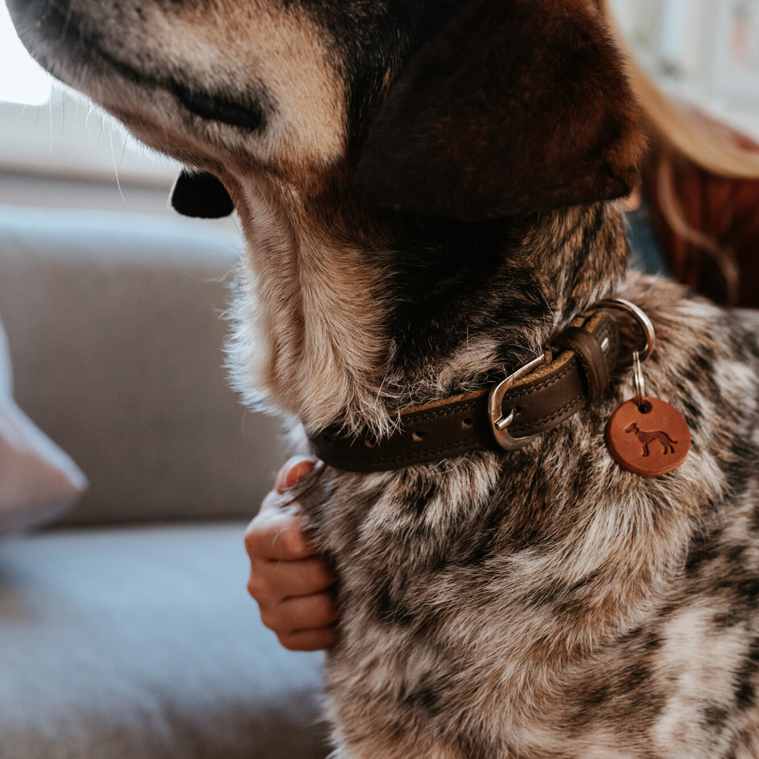 Hunter ошейник для собак Lemvig S (45 см), натуральная кожа, оливково-коричневый дуотон