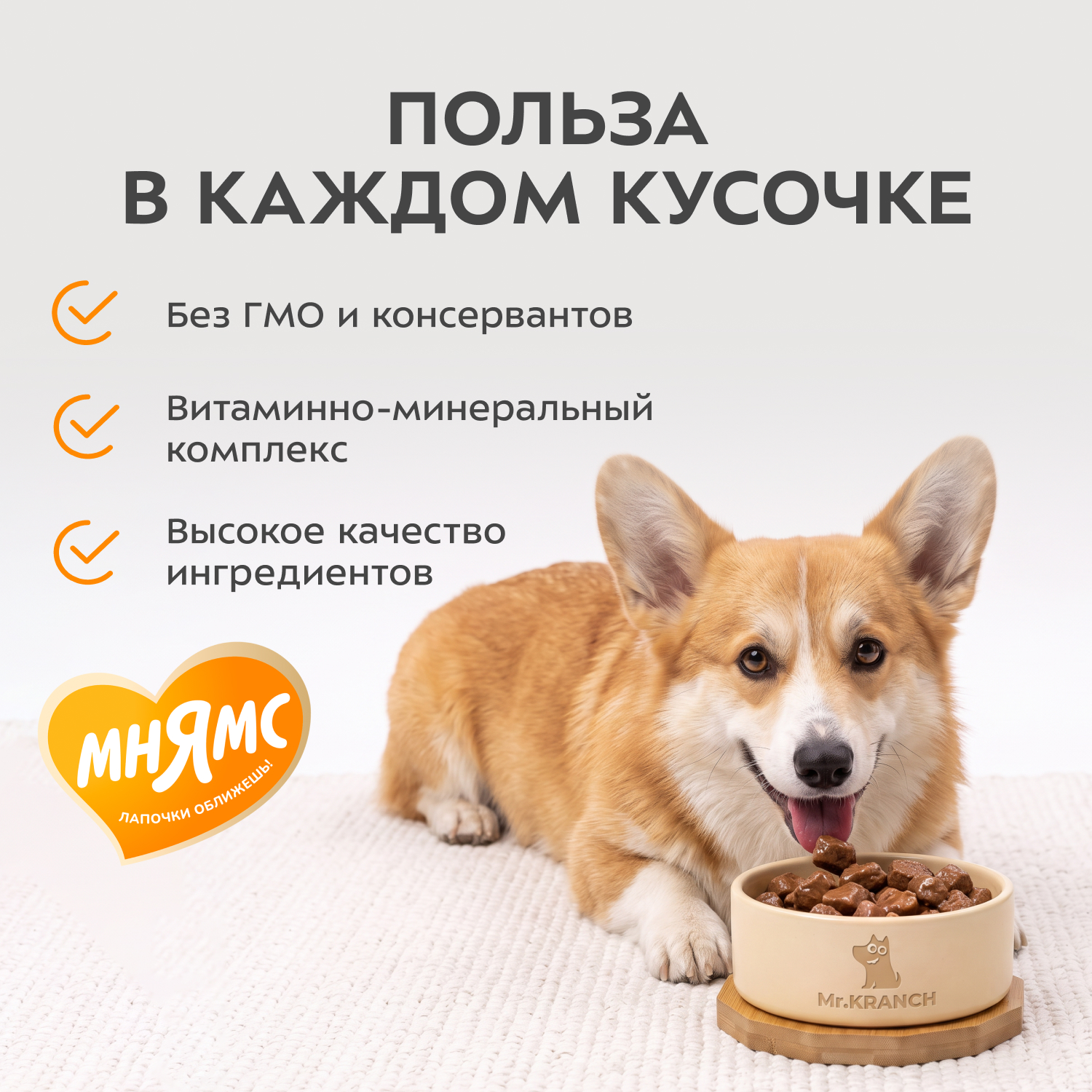 Влажный корм Мнямс На каждый день Кусочки в соусе с индейкой для собак всех пород «КОМФОРТНОЕ ПИЩЕВАРЕНИЕ", 400 г