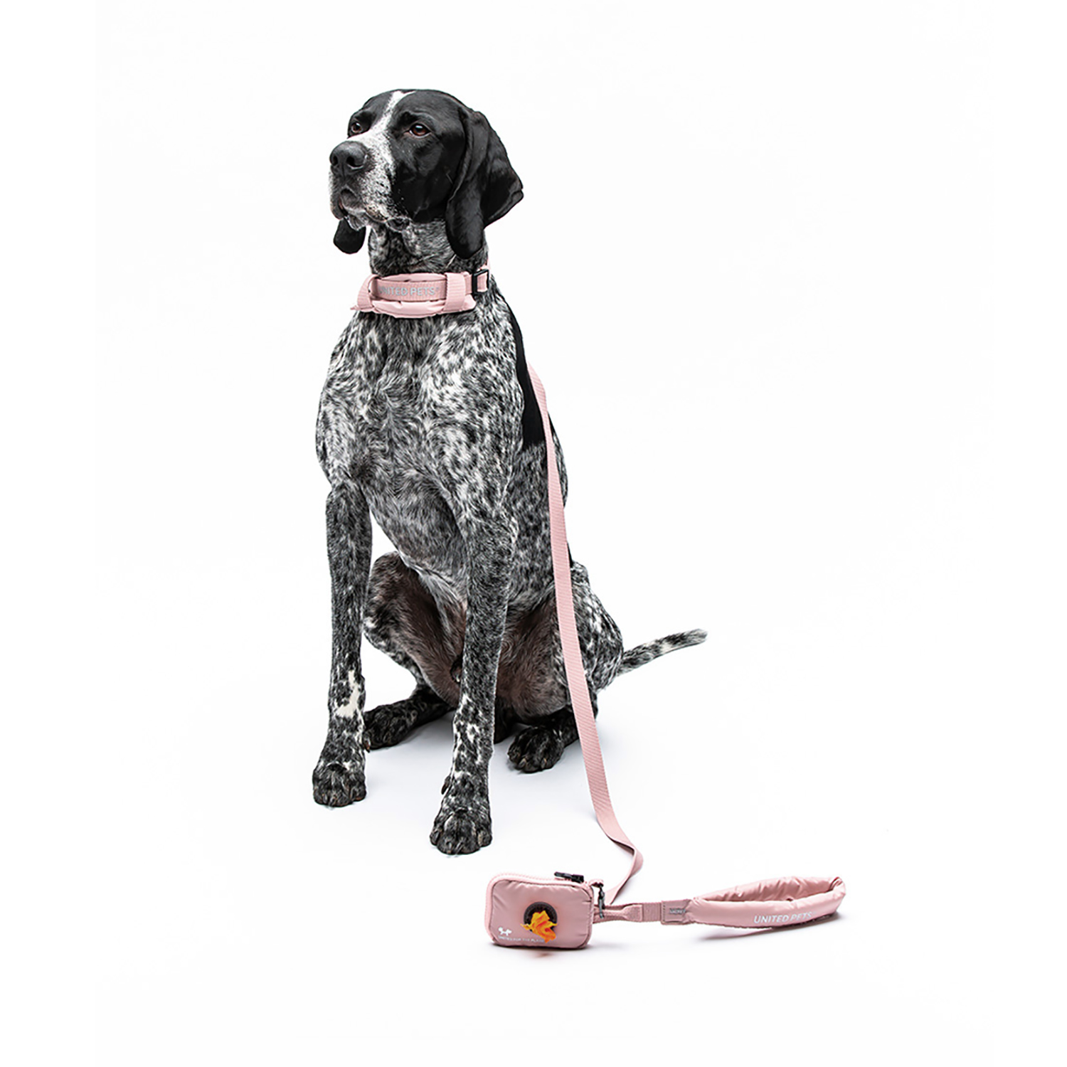 Ошейник United Pets с мягкой подкладкой для собак Citylife M 20 x 35-50 см пыльная роза