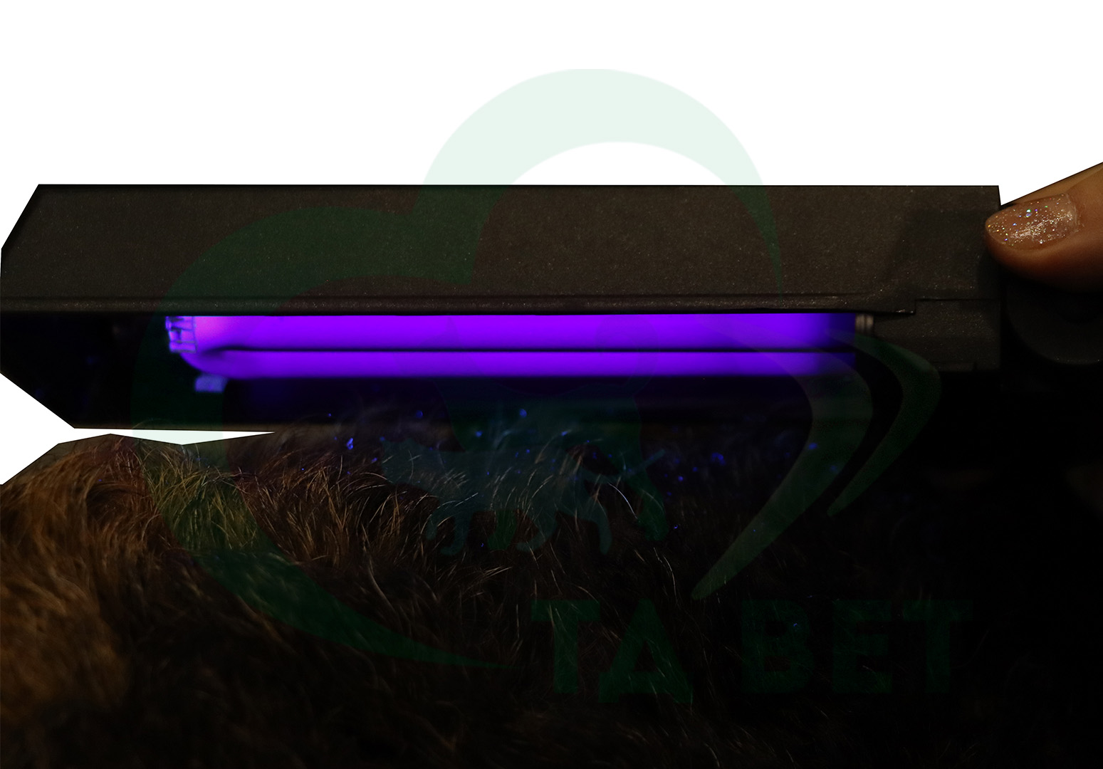 ТД ВЕТ Осветитель люминесцентный диагностический NEXT (Лампа Вуда)