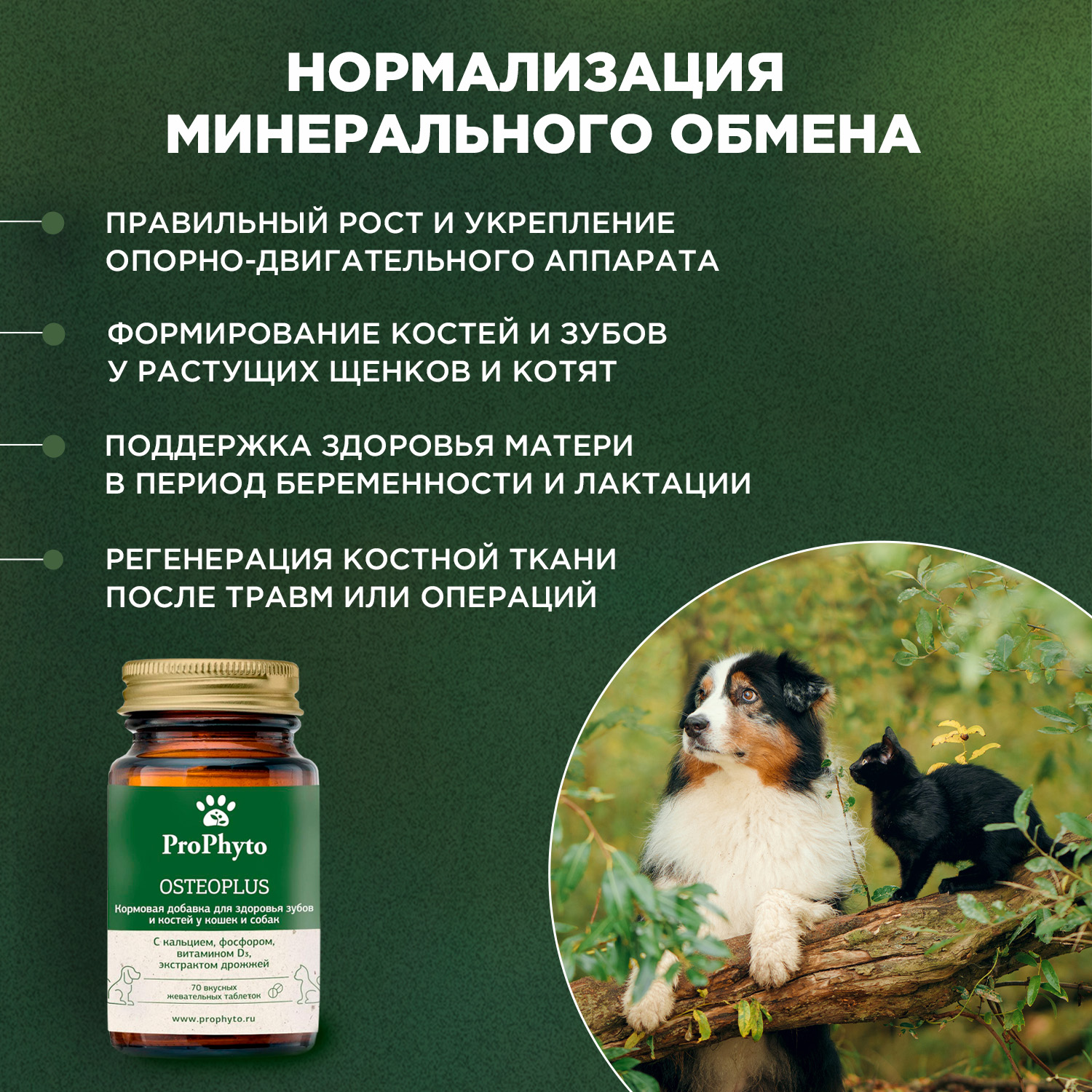 ProPhyto Остеоплюс, 70 таблеток