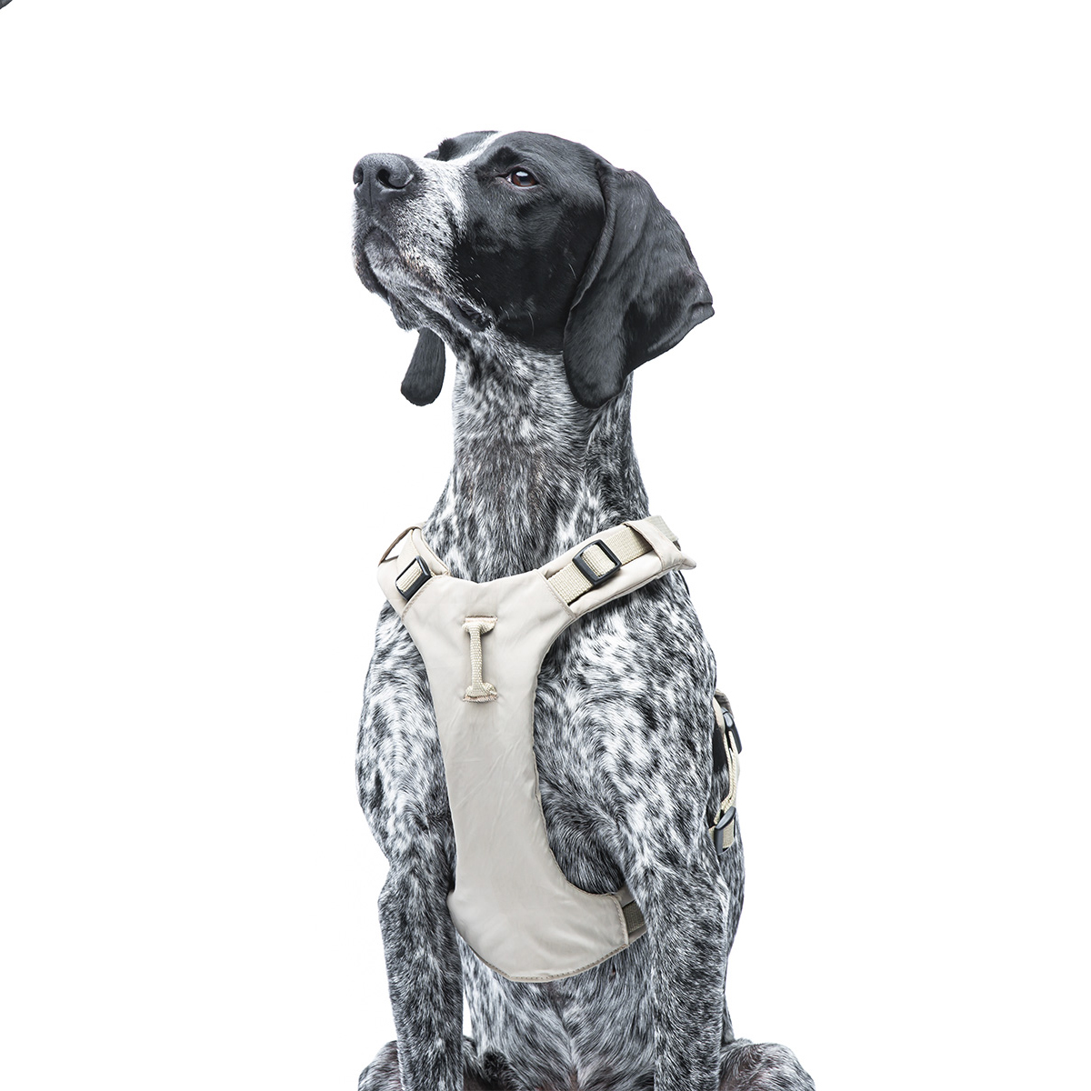 Шлейка United Pets для собак Citylife Y-образная XS 15 x 38-48, бежевый