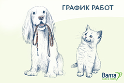 График работы московских магазинов "Валта Cash&Carry" График работы московских магазинов "Валта Cash&Carry"