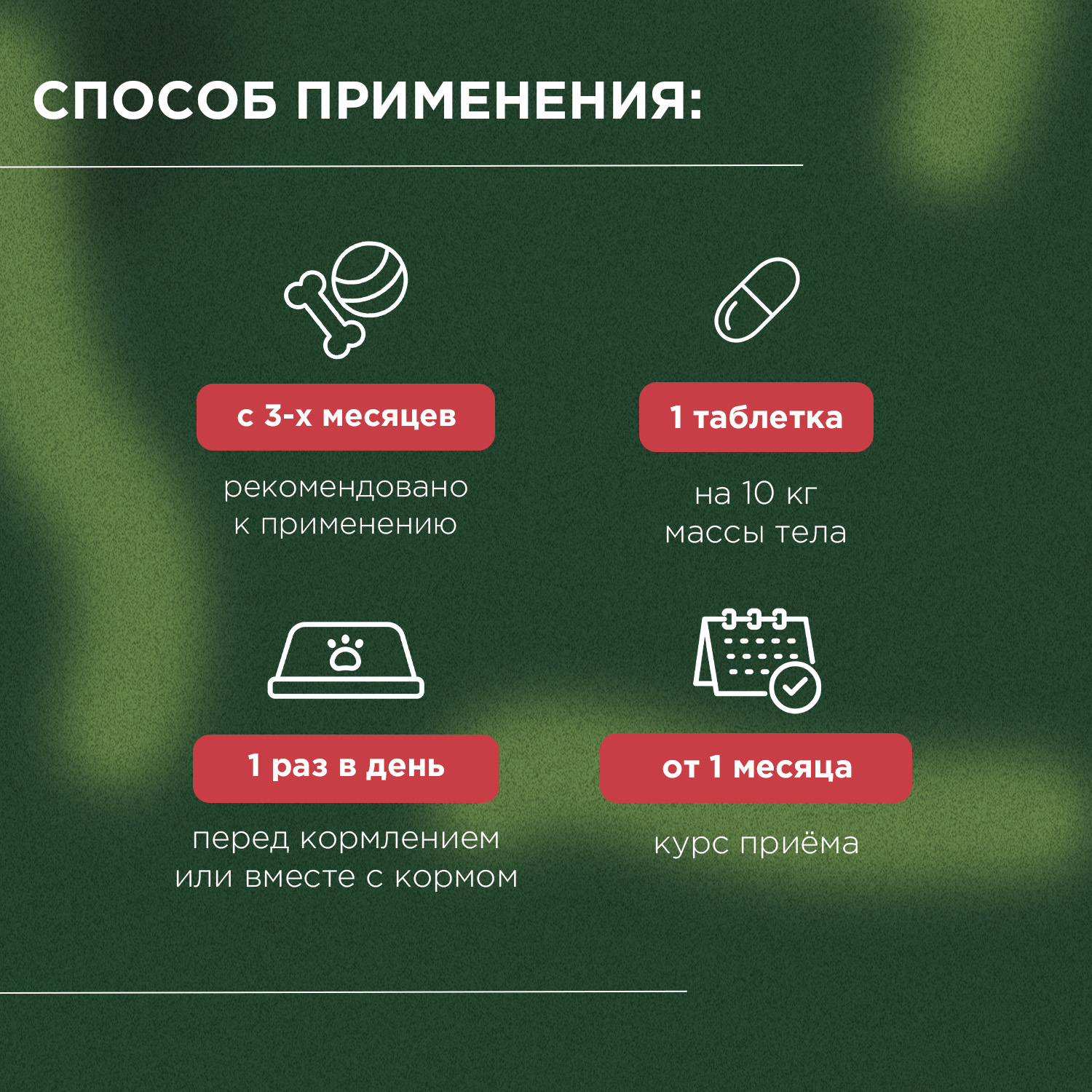 ProPhyto Энерджи Буст,100 таблеток