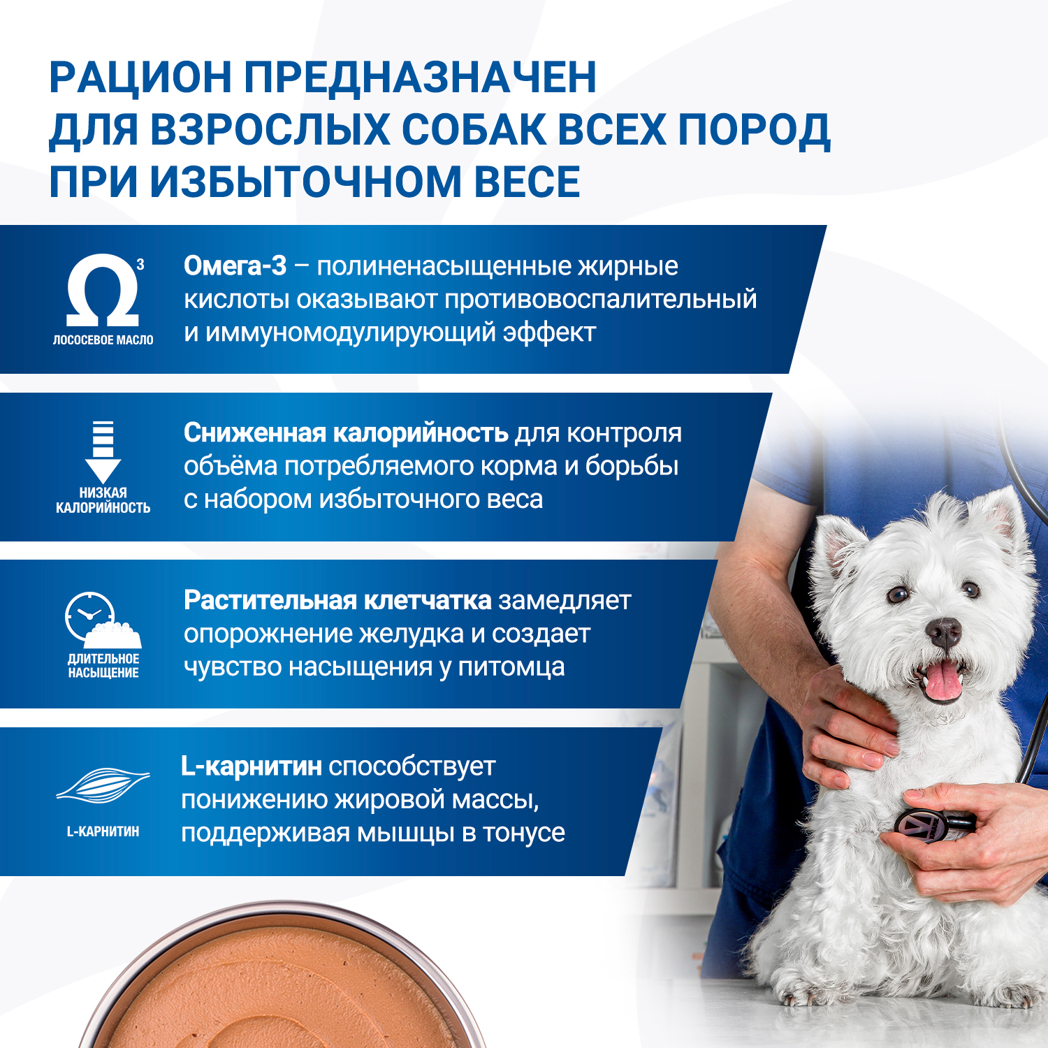Диетический корм Monge VetSolution Dog Diabetic and Obesity Диабетик и Обесити для собак при сахарном диабете и лишнем весе 400 г