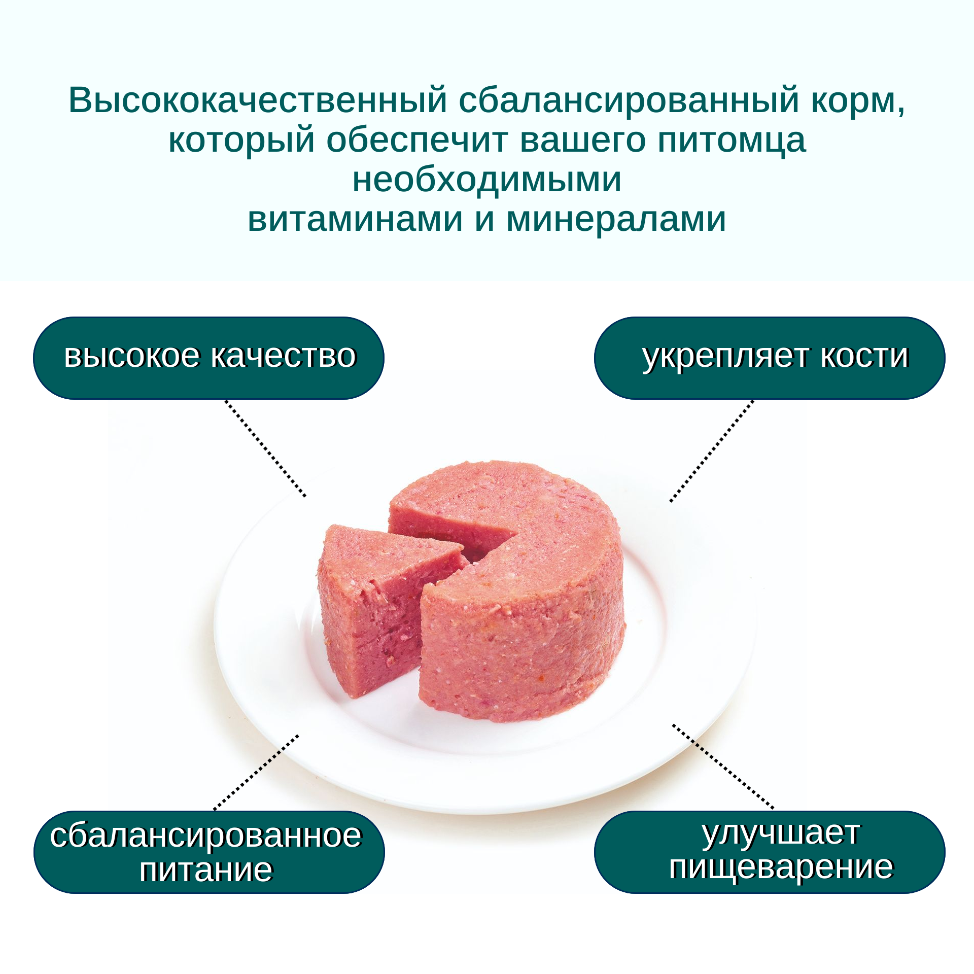 Wanpy Dog Консервы для собак из ягненка 375 г