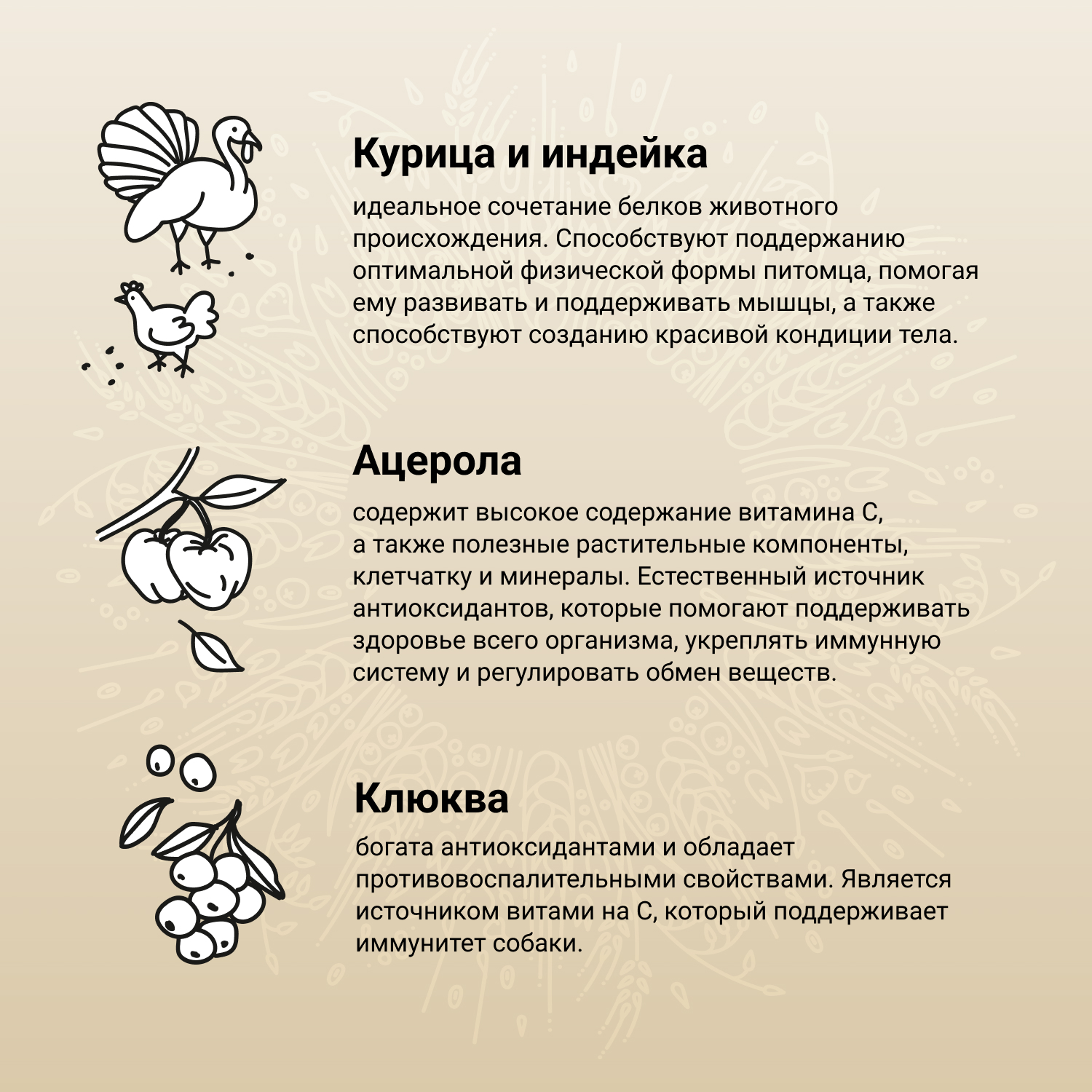 Сухой корм CRAFTIA NATURA для взрослых собак средних и крупных пород из курицы и индейки 10 кг