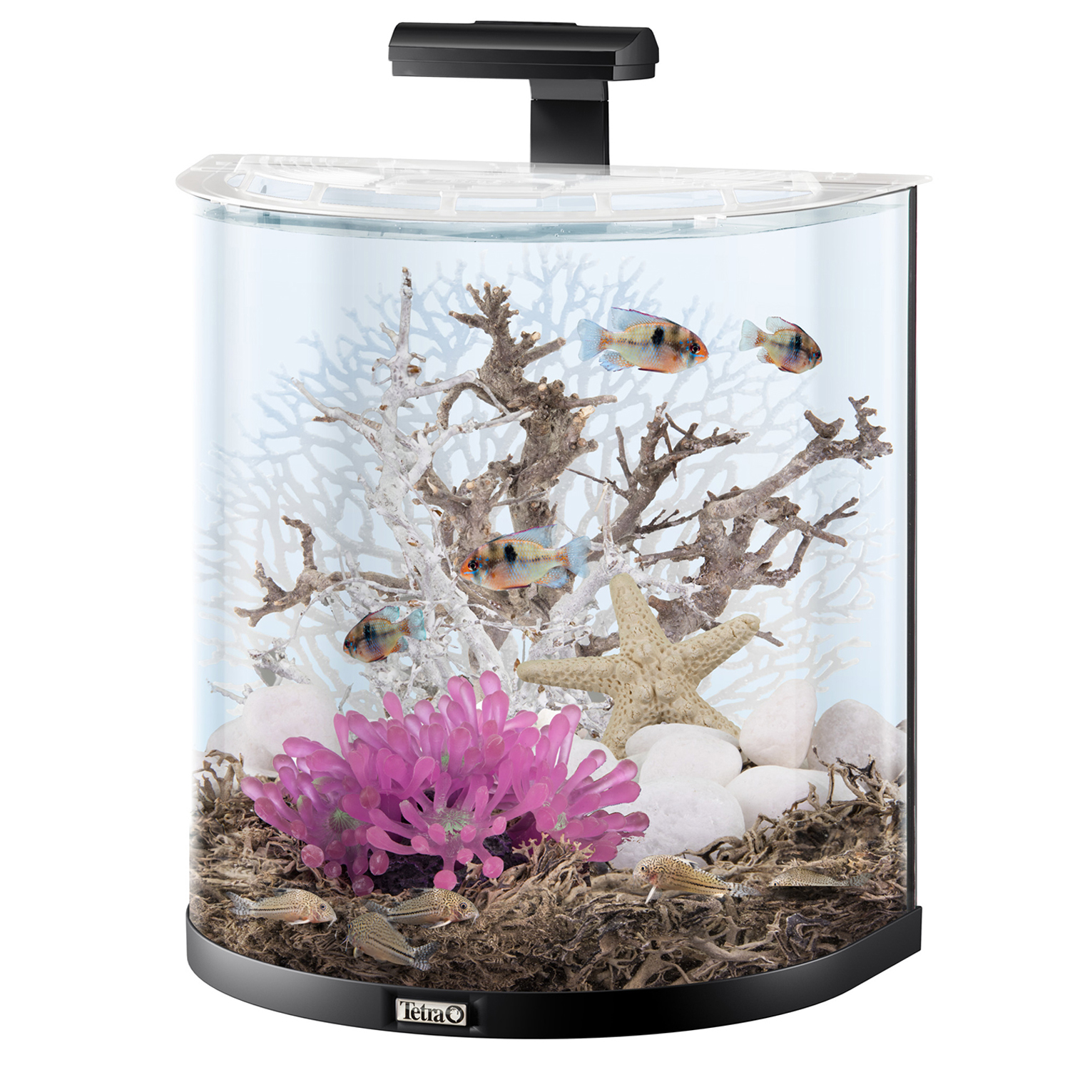 Tetra AquaArt Explorer Line LED 60 л - аквариумный комплекс "Полумесяц" СКИДКА 40%