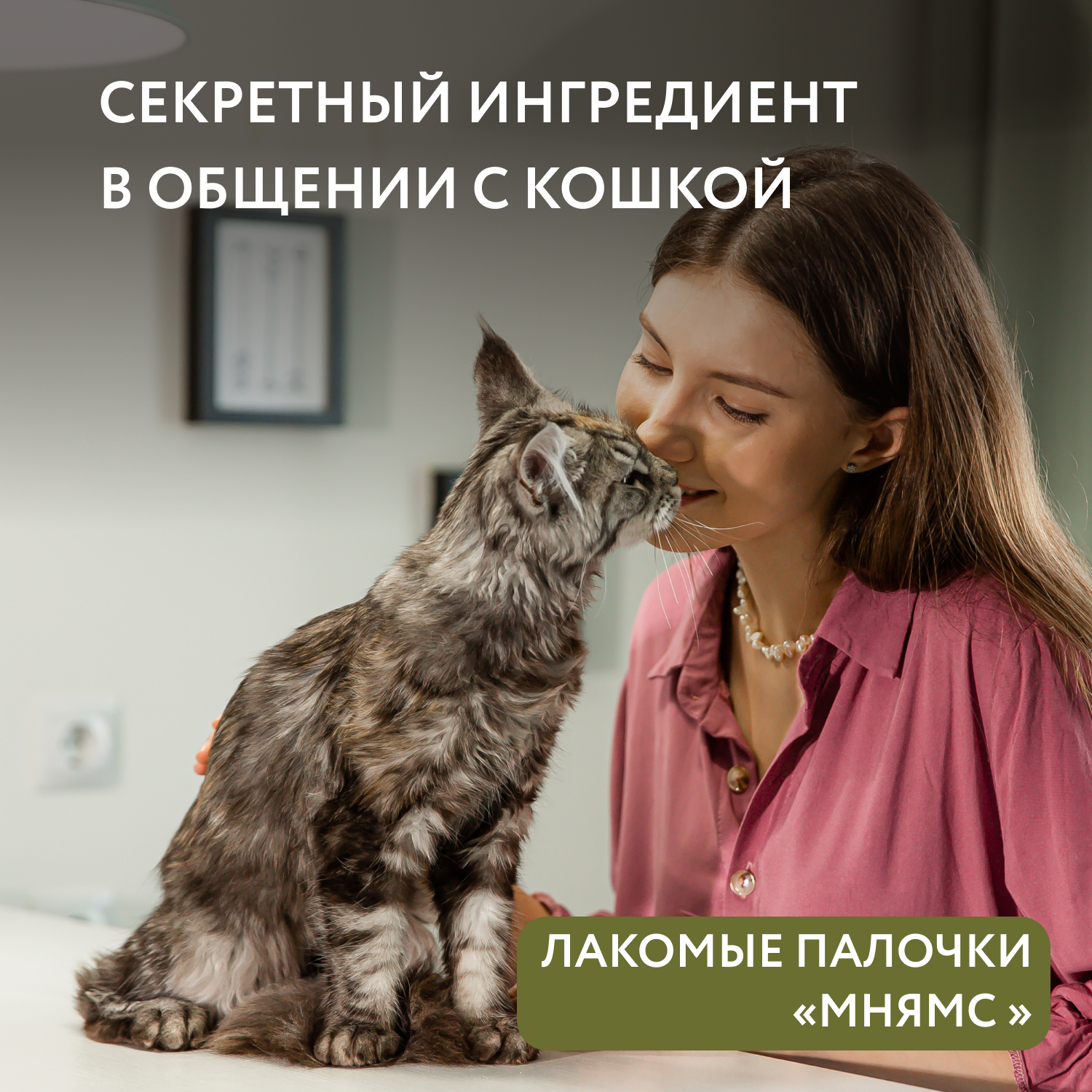 Лакомство Мнямс лакомые палочки для кошек из цыпленка и утки 3х5 г