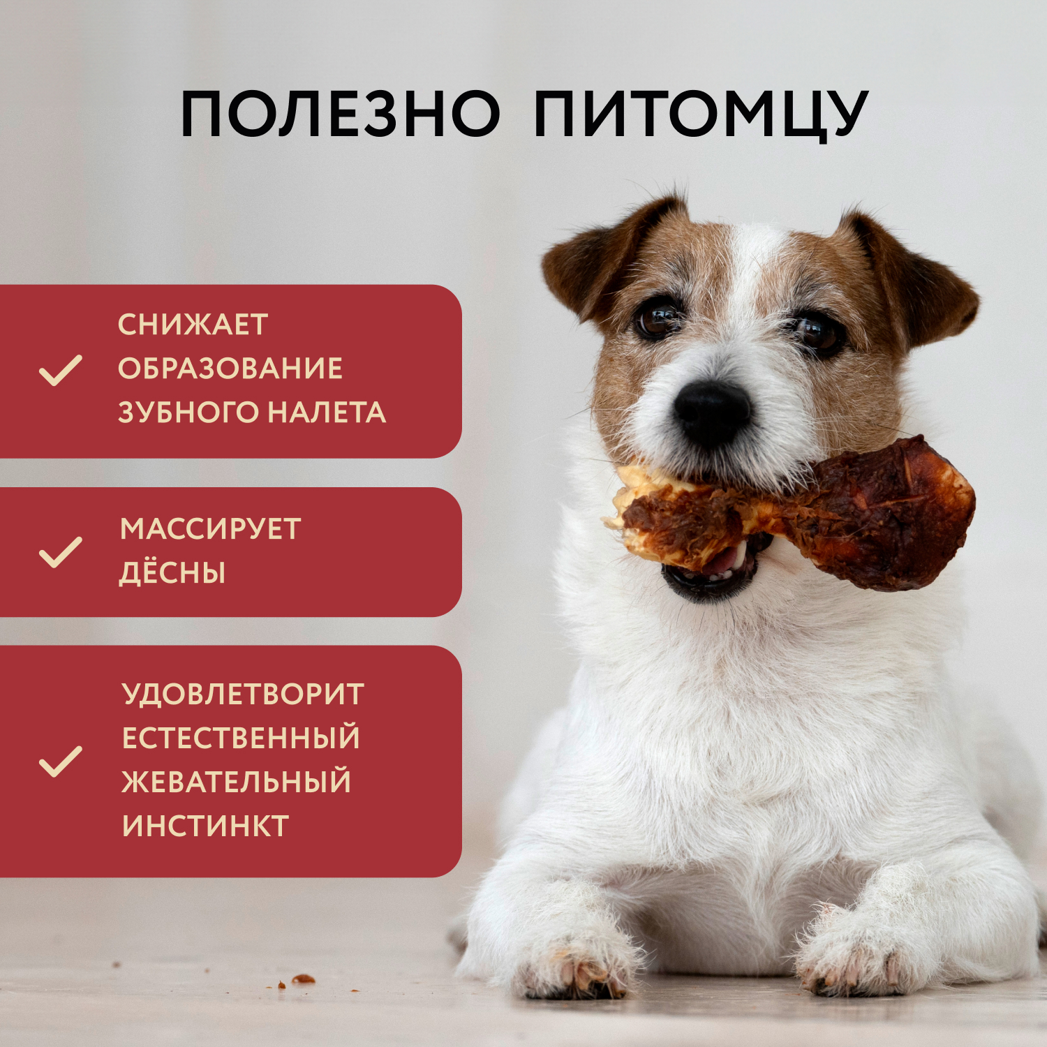 Лакомство Мнямс Деликатес Пармская косточка для собак размер S 35 г