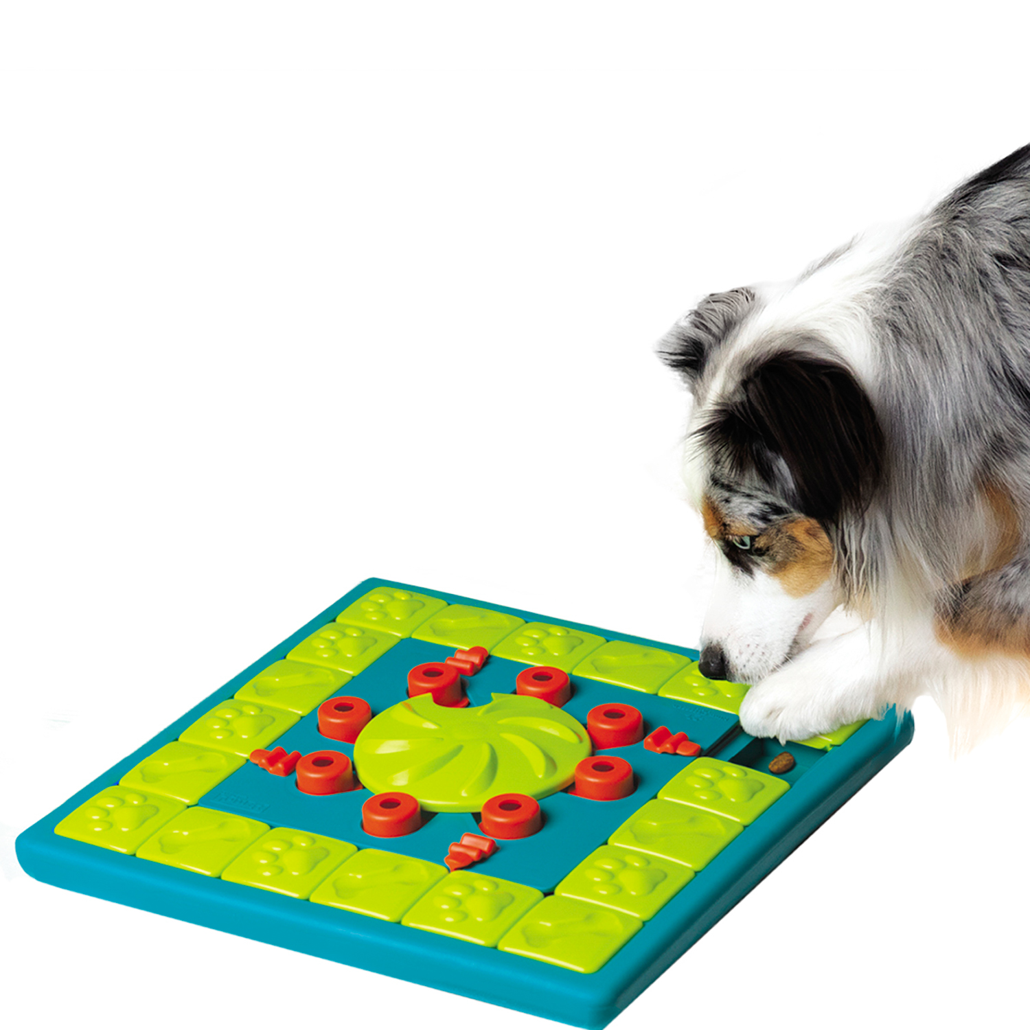 Nina Ottosson игра-головоломка для собак Multipuzzle, 4 (эксперт) уровень сложности СКИДКА 50%