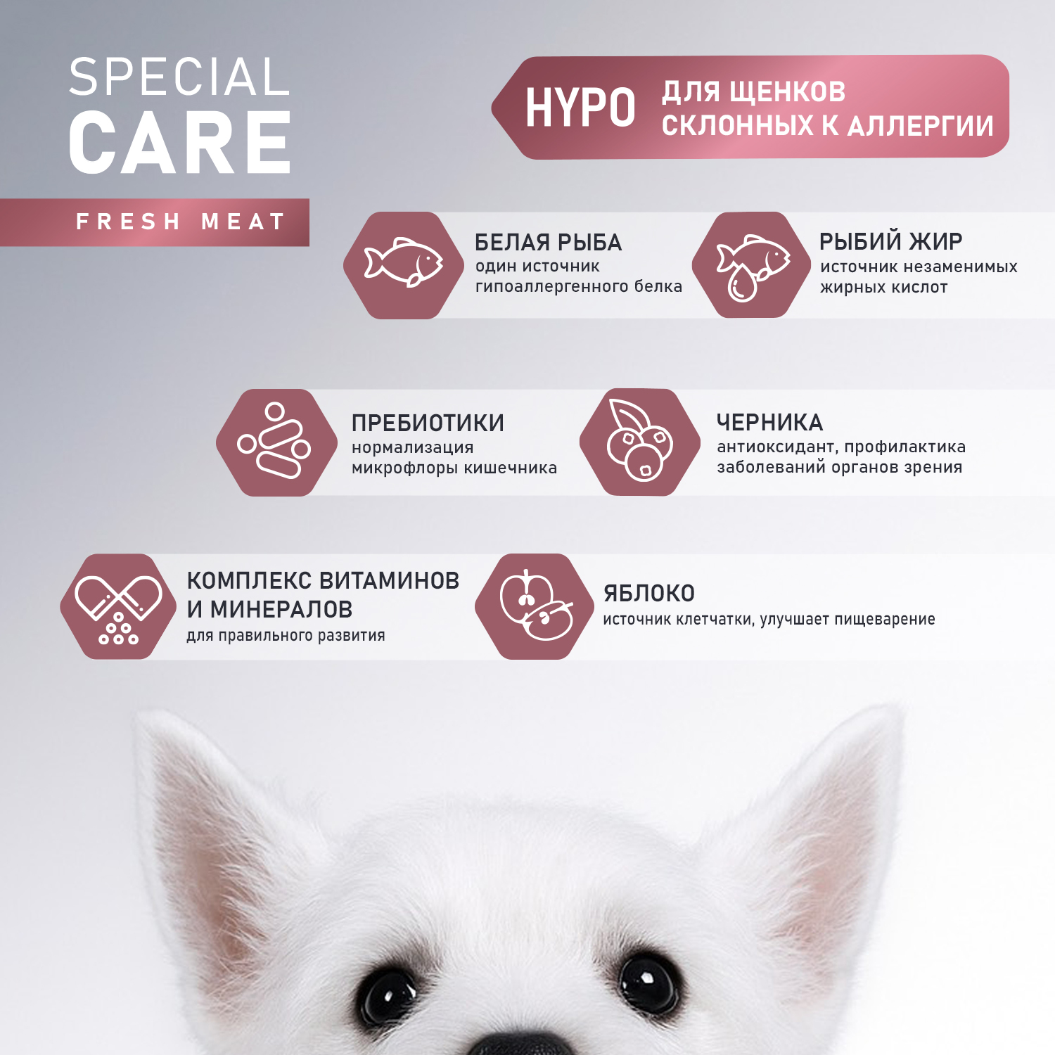 Сухой корм AWARD SPECIAL CARE HYPO PUPPY со свежей белой рыбой для щенков от 1 месяца, беременных и кормящих собак всех пород, склонных к аллергии 2кг
