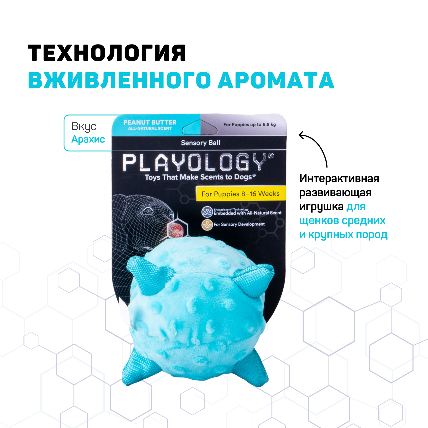Сенсорный плюшевый мяч Playology PUPPY SENSORY BALL 11 см для щенков мелких и средних пород 8-16 недель с ароматом арахиса, цвет голубой СКИДКА 50%