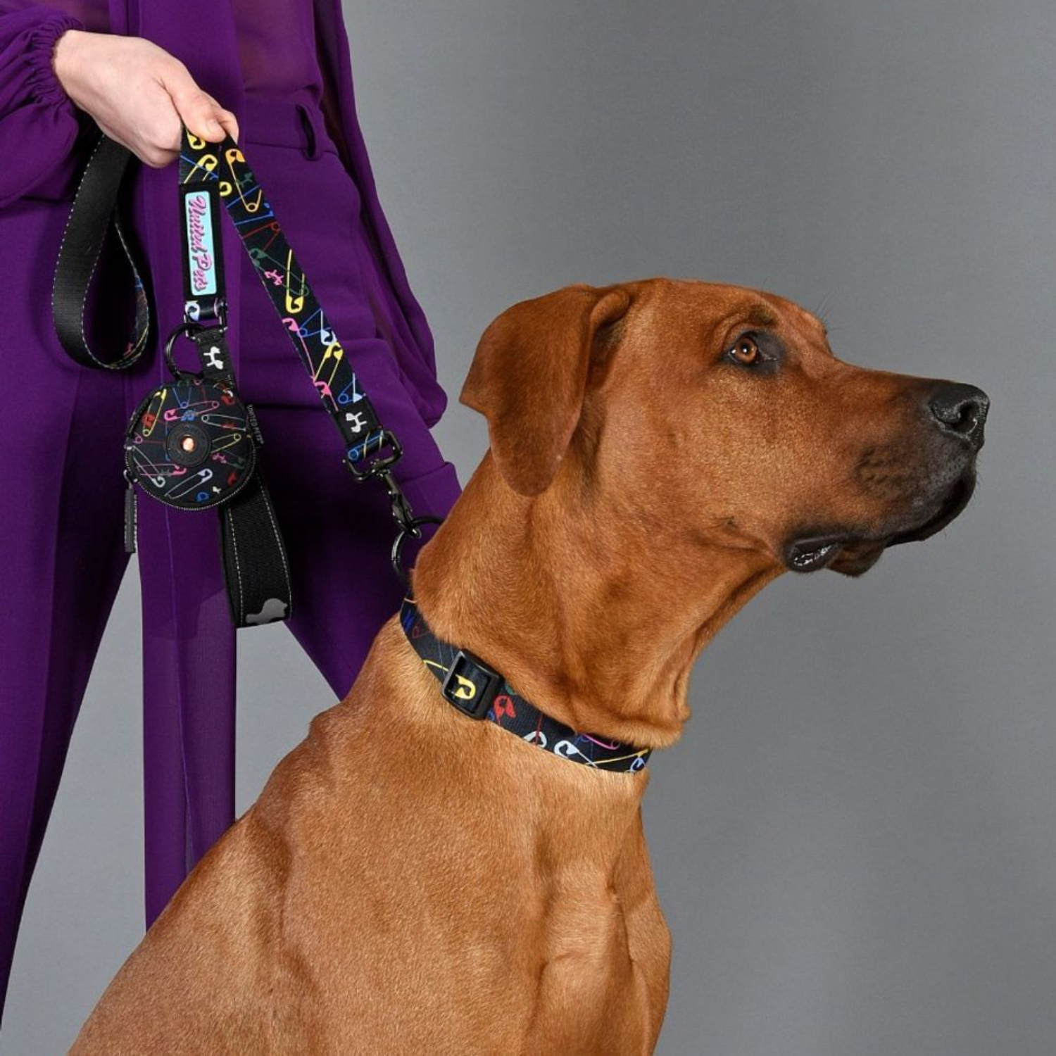 Поводок United Pets для собак Complete me 25 x 1200 mm, черный с разноцветными булавками