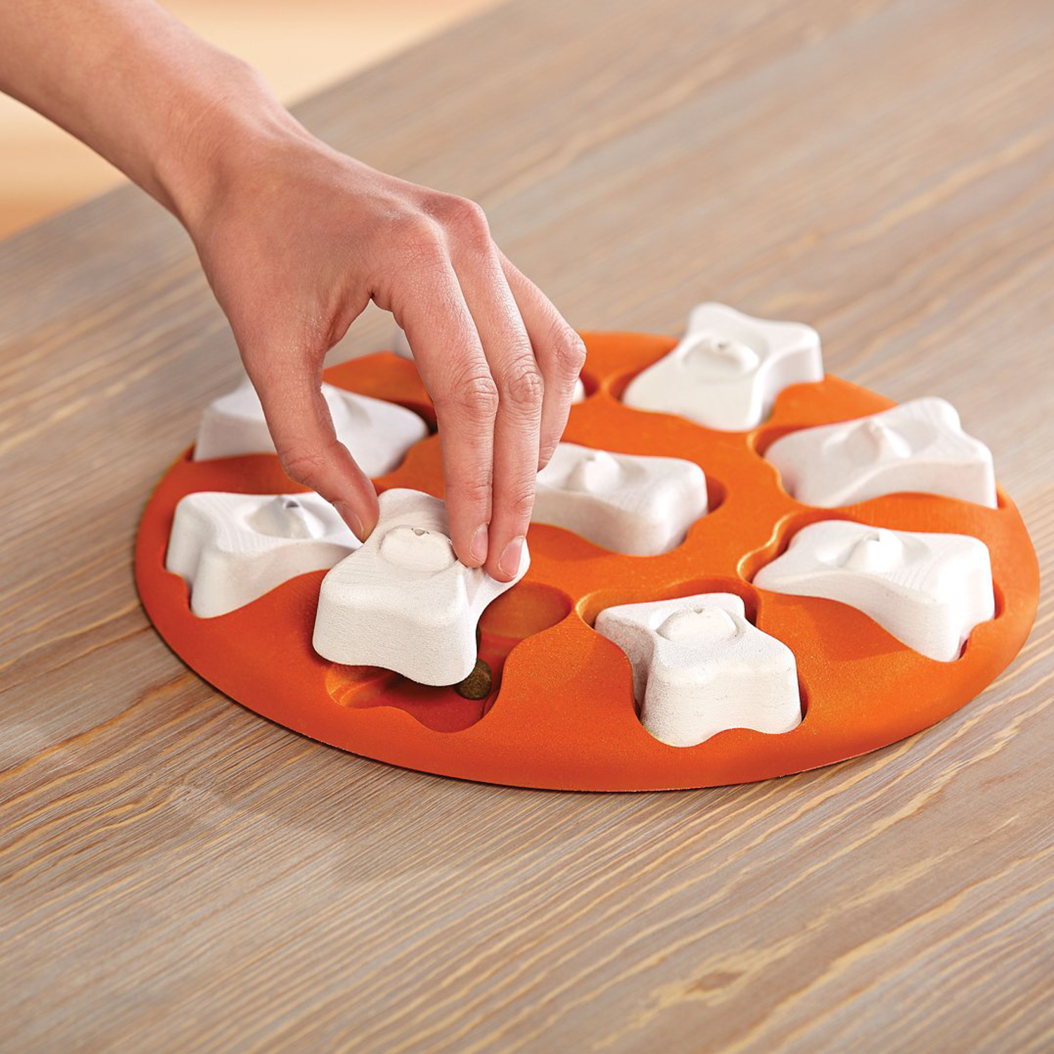 Nina Ottosson игра-головоломка для собак Smart, 1 (начинающий) уровень сложности