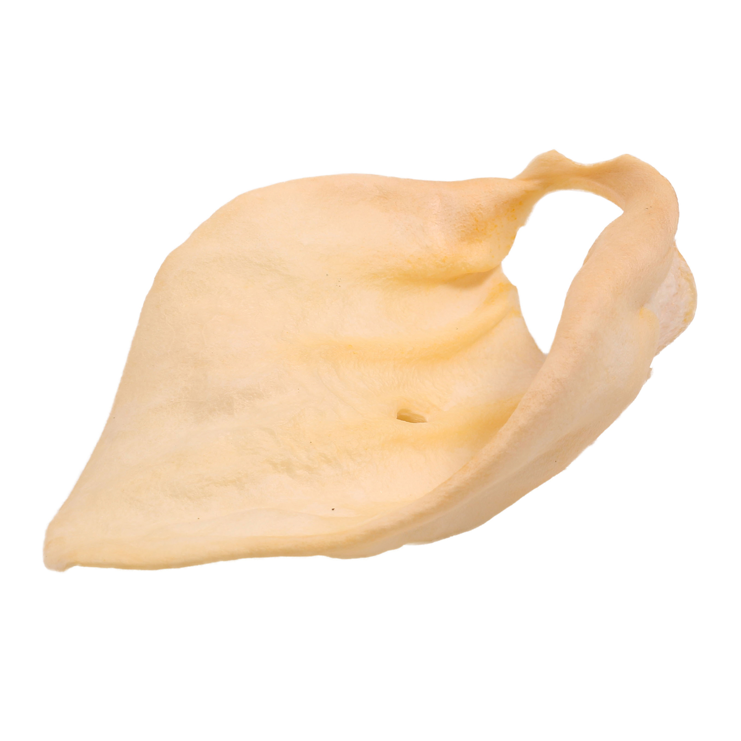 Лакомство TiTBiT Ухо телячье большое для собак 27 г