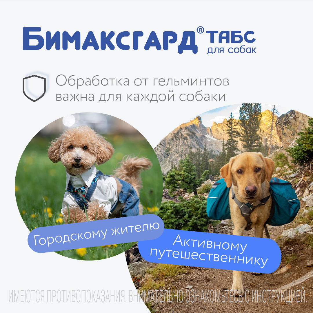 Бимаксгард® ТАБС антигельминтный препарат для крупных собак, 2 таб.