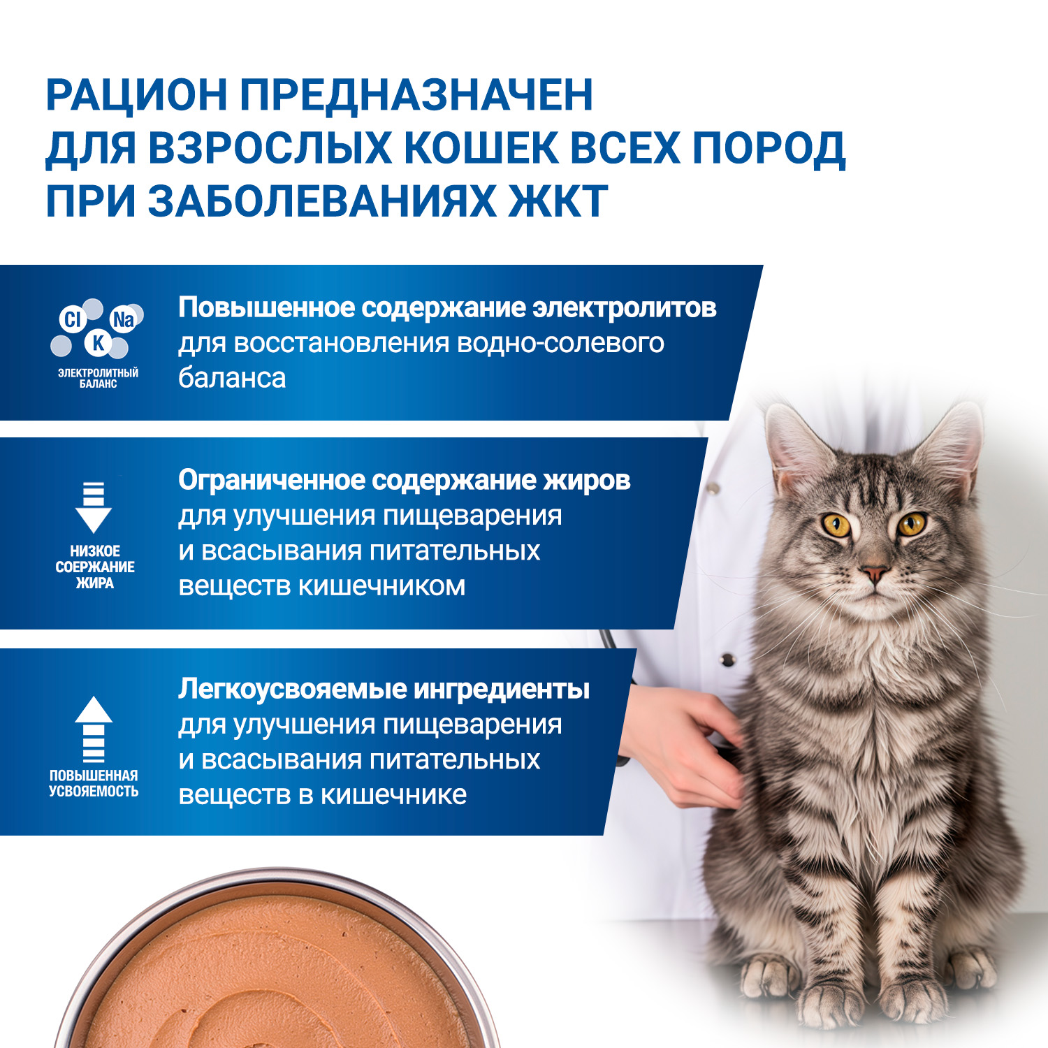Диетический корм Monge VetSolution Cat Gastrointestinal гастро интестинал для кошек при заболеваниях ЖКТ 100 г