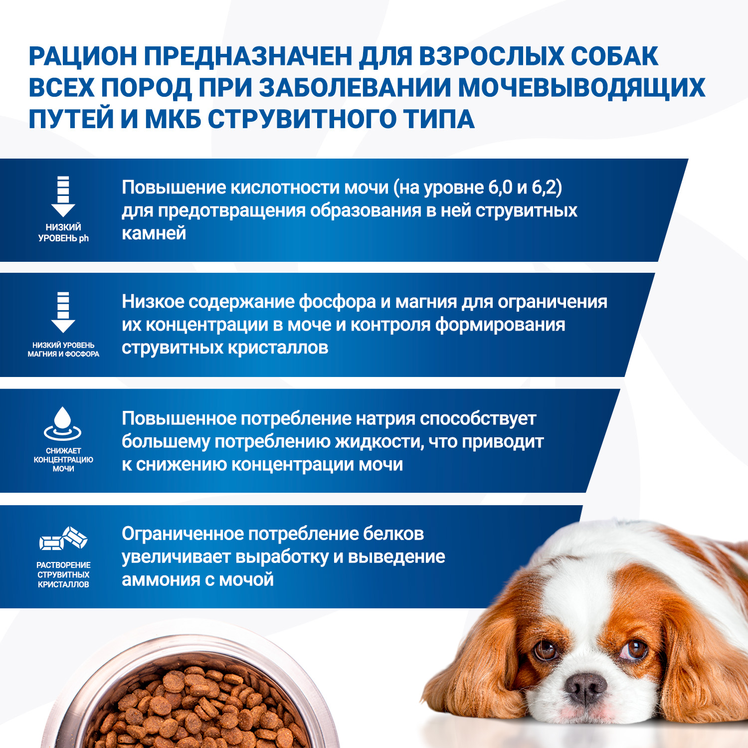 Диетический корм Monge VetSolution Dog Urinary Struvite Уринари Струвит для собак при заболеваниях мочеполовой системы и струвитном течении МКБ 12 кг