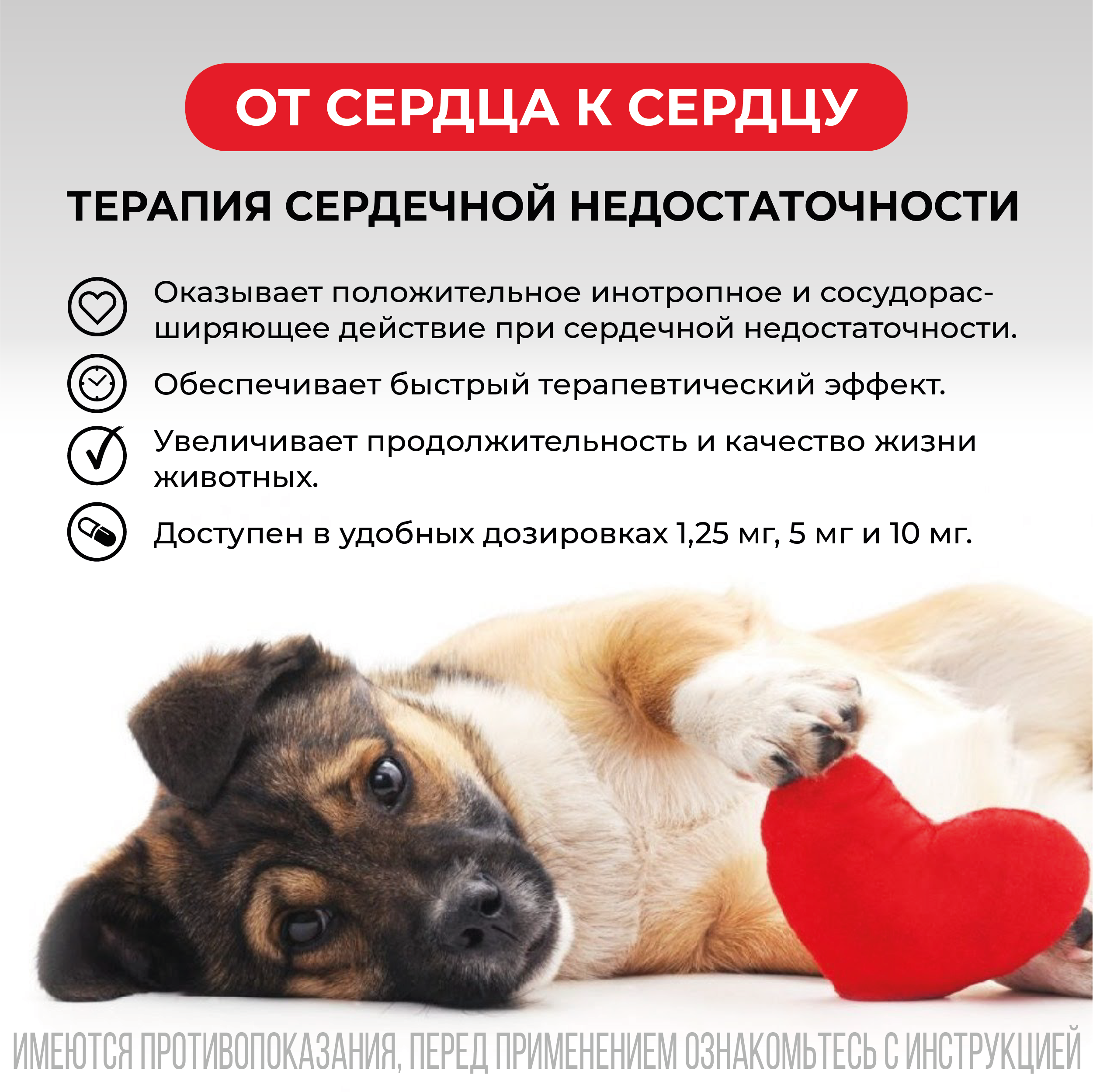 VIC Авекардит® 1,25 мг для собак, коробка 28табл.