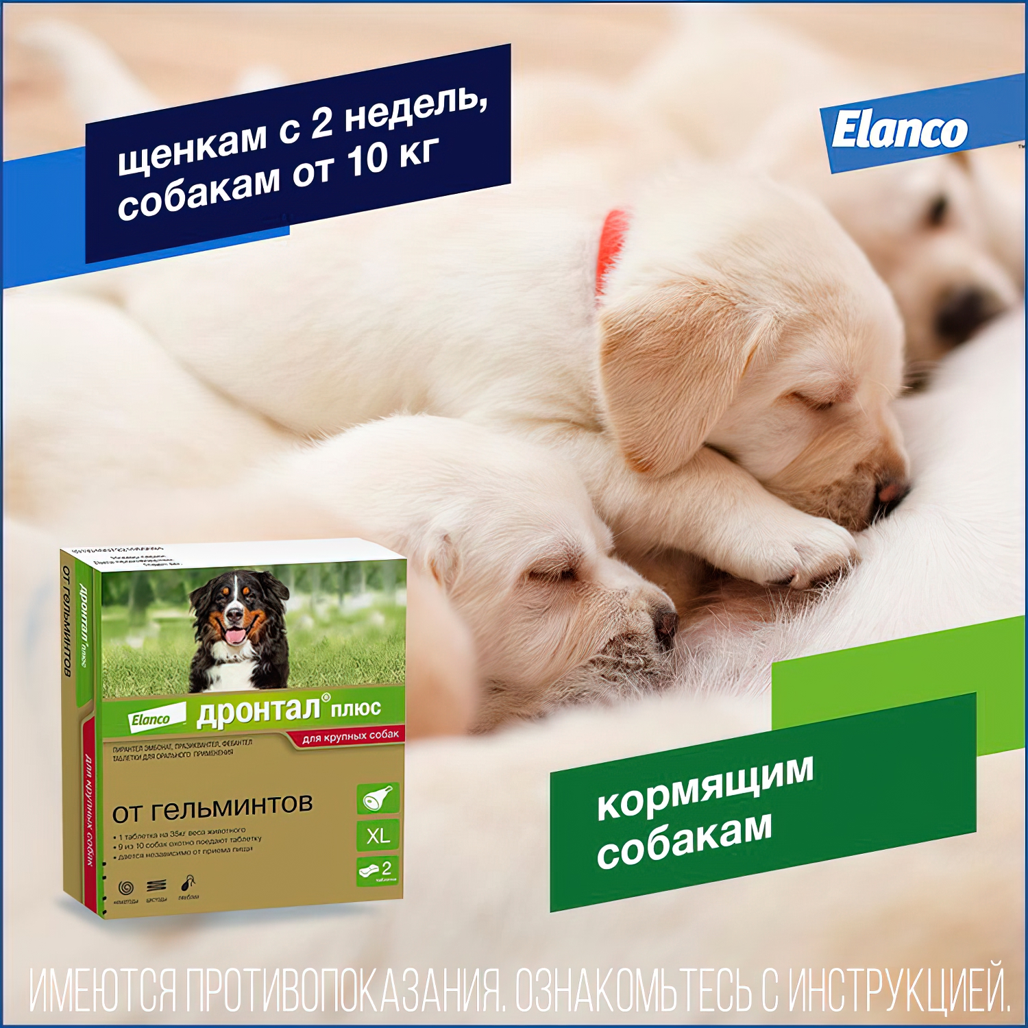 Bayer Дронтал плюс XL таблетки со вкусом мяса от гельминтов для собак крупных пород 2 таб. (1 таб. на 35 кг)