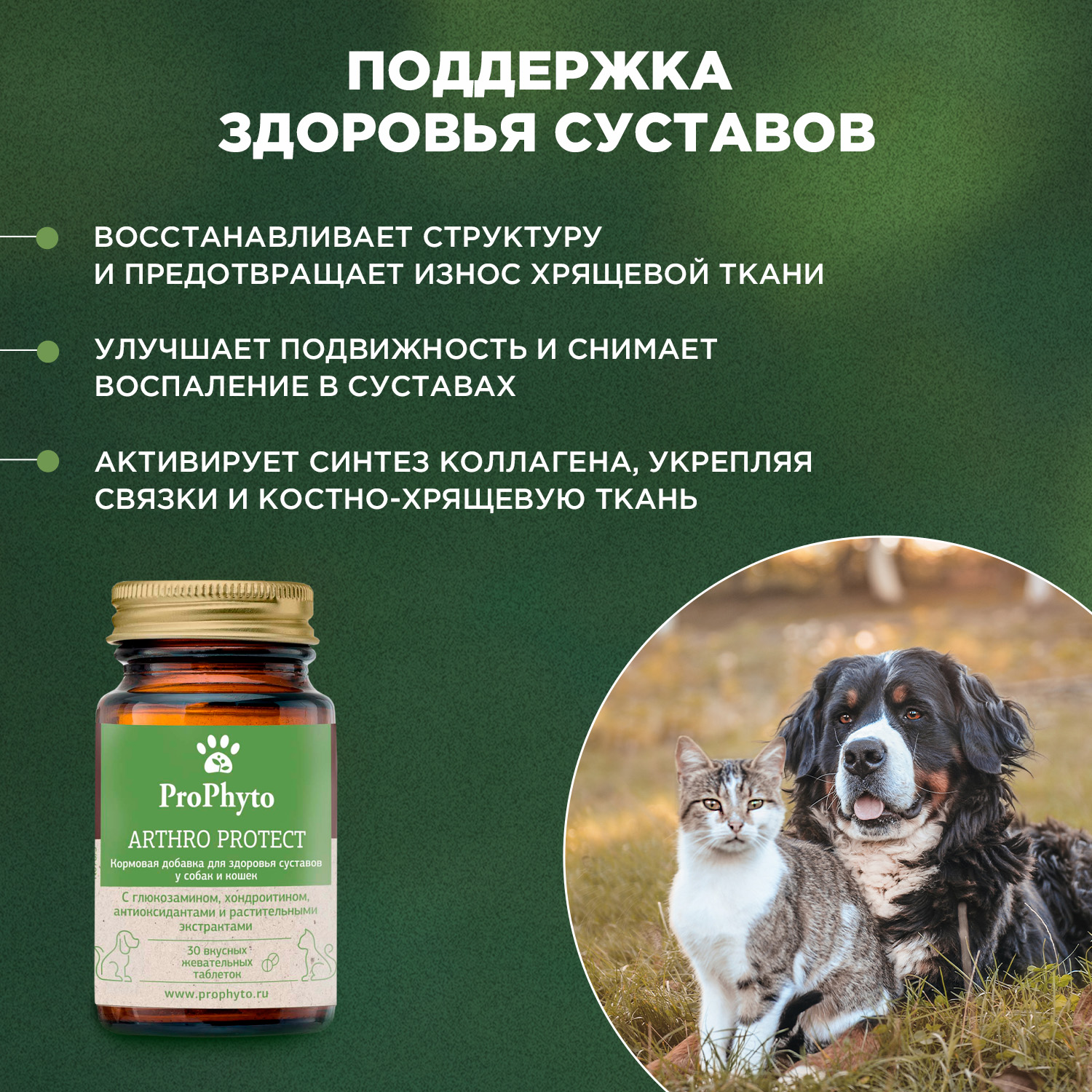 ProPhyto Артро Защита, 30 таблеток