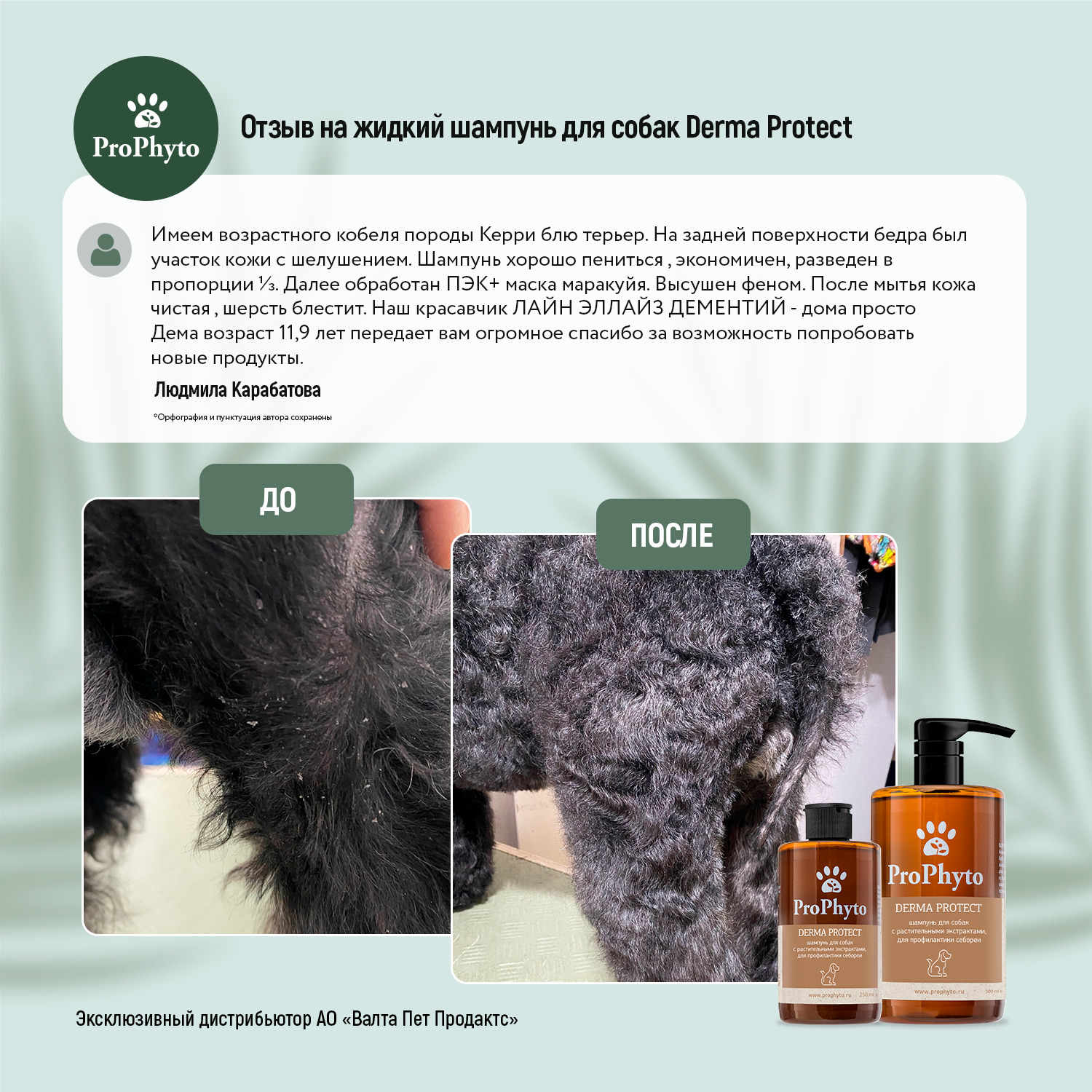 Жидкий шампунь ProPhyto DERMA PROTECT SHAMPOO для собак с растительными экстрактами против перхоти и себореи, 500 мл