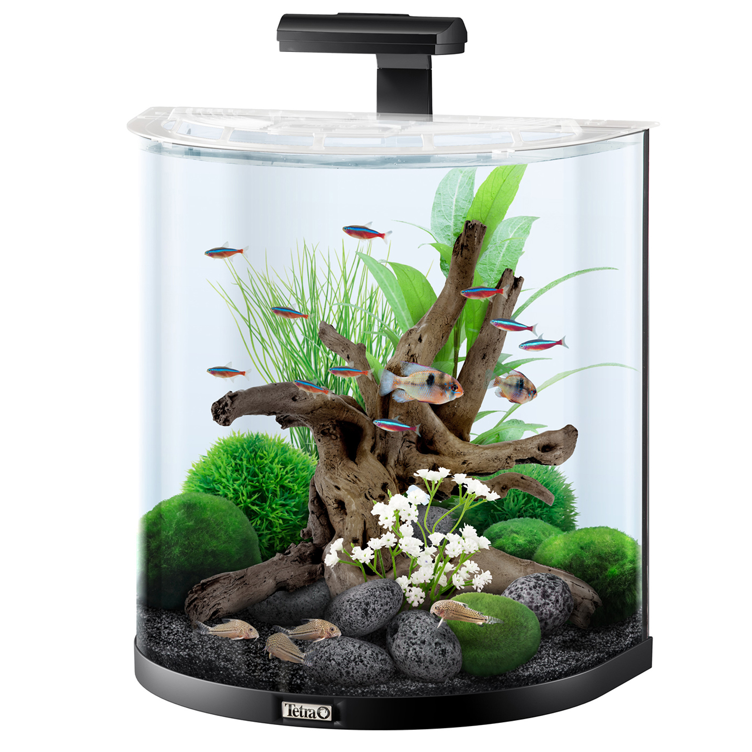 Tetra AquaArt Explorer Line LED 60 л - аквариумный комплекс "Полумесяц" СКИДКА 40%