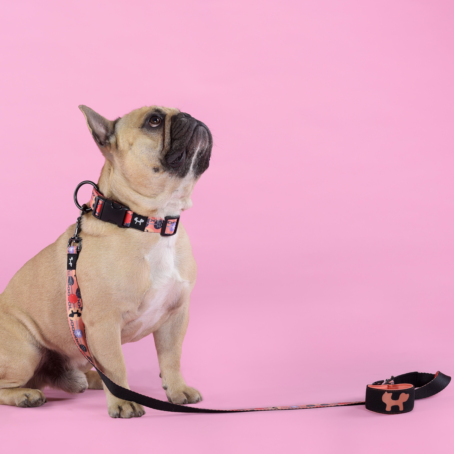 Поводок United Pets для собак Complete me Forever 140 см, 16 мм, оранжевый с рисунком СКИДКА 40%