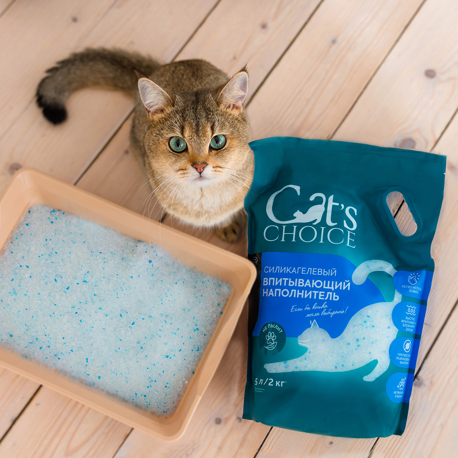Силикагелевый впитывающий наполнитель Cat's choice с синими гранулами 5 л/2 кг