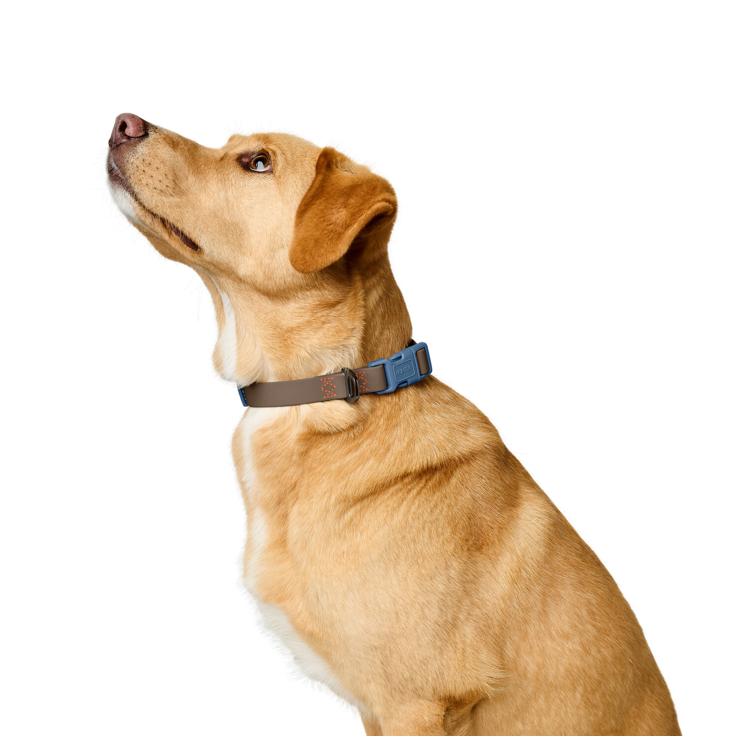 Hunter ошейник для собак Havanna M (30-45 см), биотановый, дымчатый серый