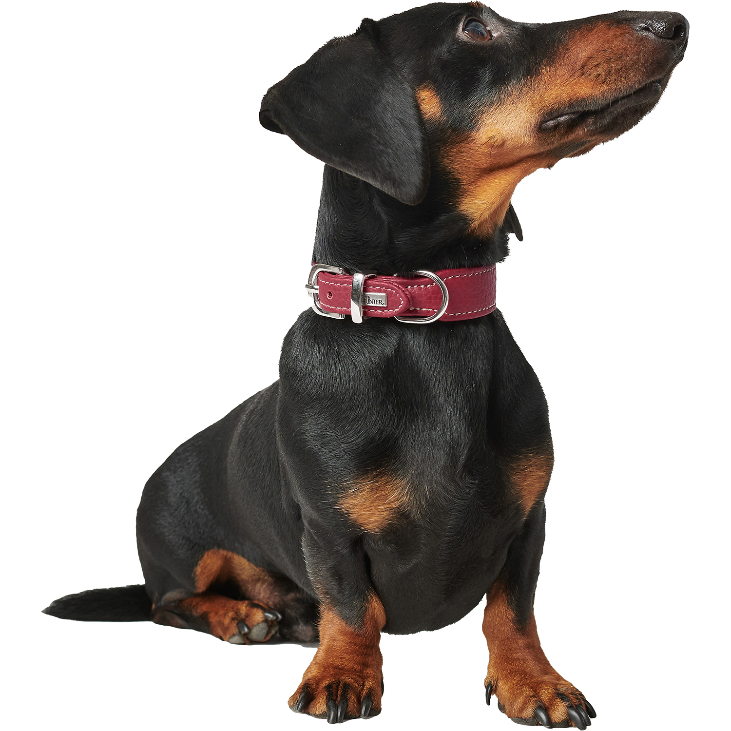 Hunter ошейник для собак Cannes Mini 32 (23-27,5)/2,5 см натуральная кожа бордовый СКИДКА 50%