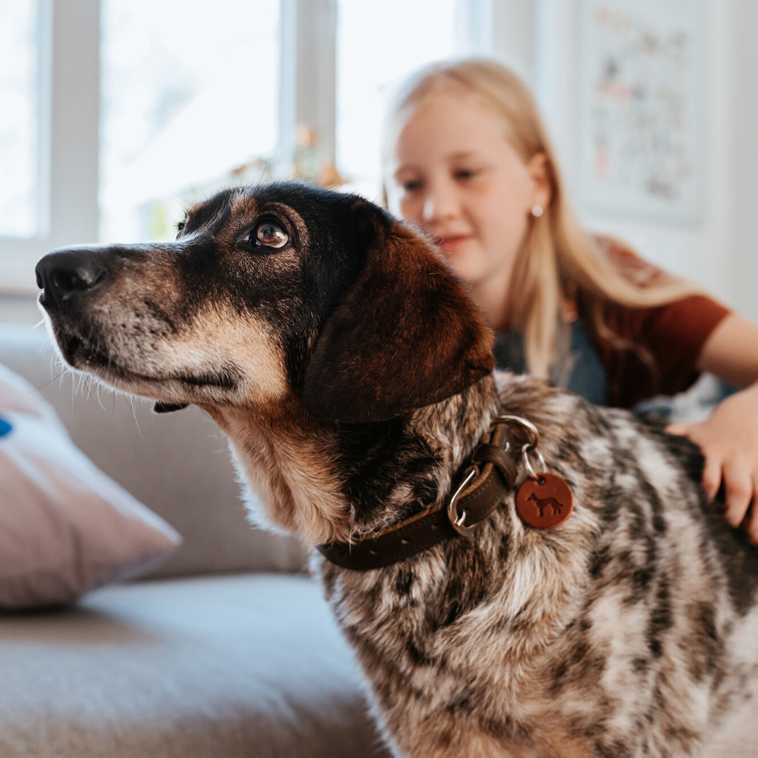 Hunter ошейник для собак Lemvig M (55 см), натуральная кожа, оливково-коричневый дуотон