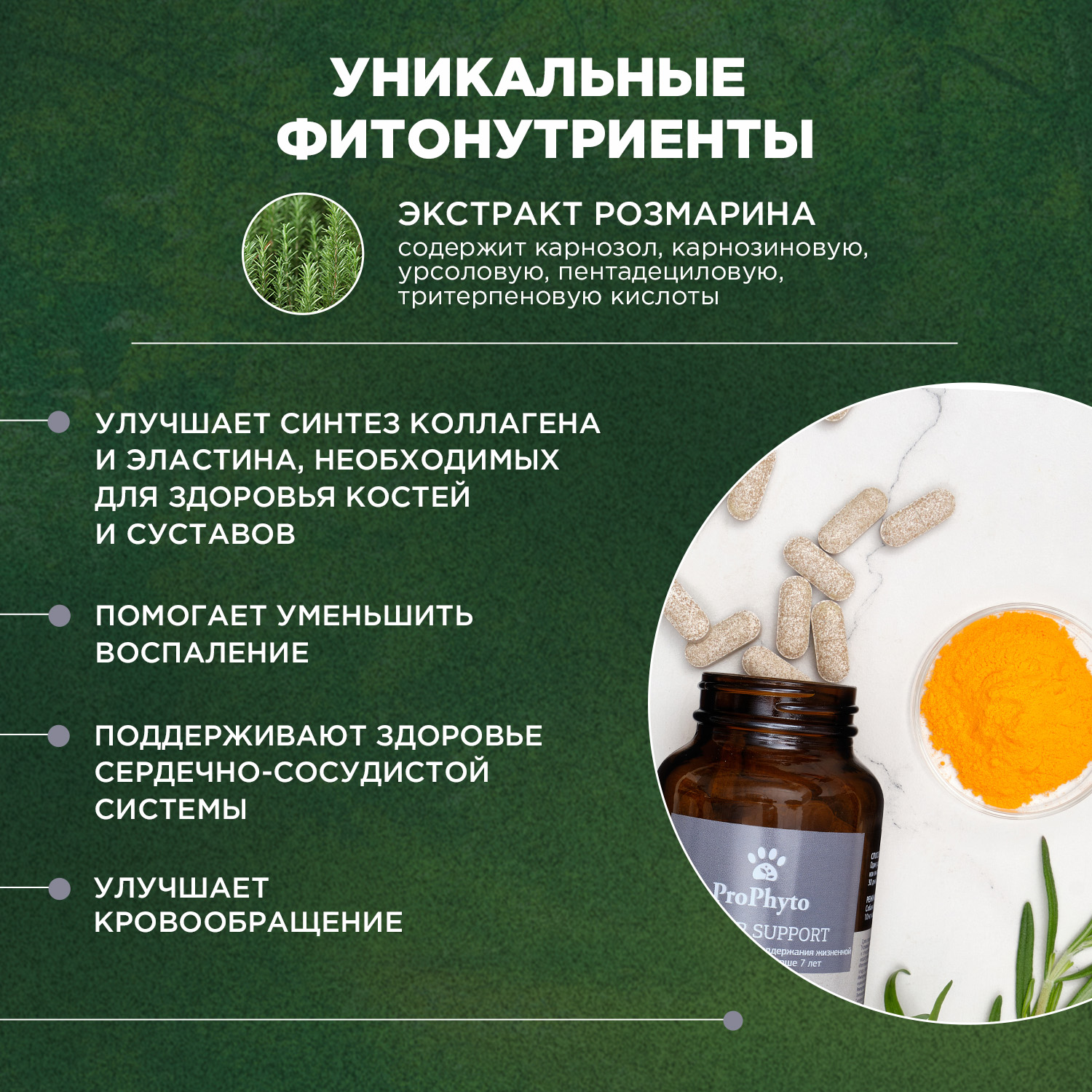 ProPhyto Сеньор Саппорт, 100 таблеток