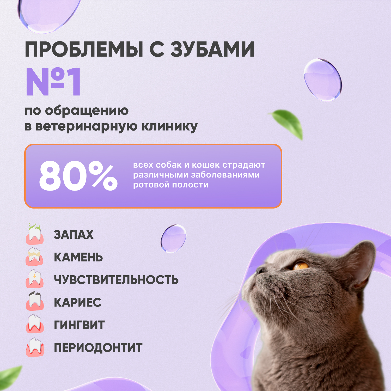 V.A.D.C. (ВИ.ЭЙ.ДИ.ЭС.) «Укрепление пародонта» зубная паста с ароматом говядины для собак и кошек, 50 мл
