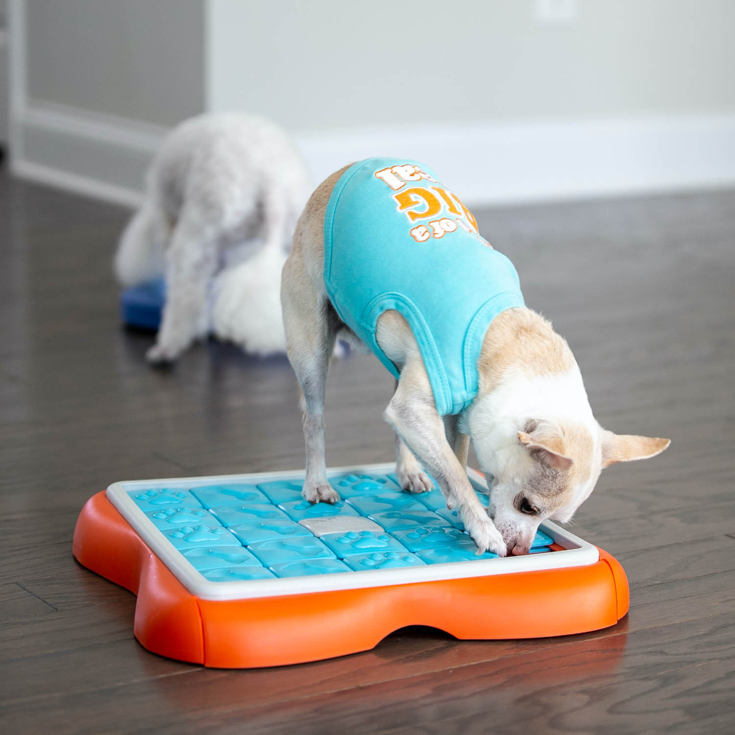 Nina Ottosson игра-головоломка для собак Challenge Slider, 3 (продвинутый) уровень сложности