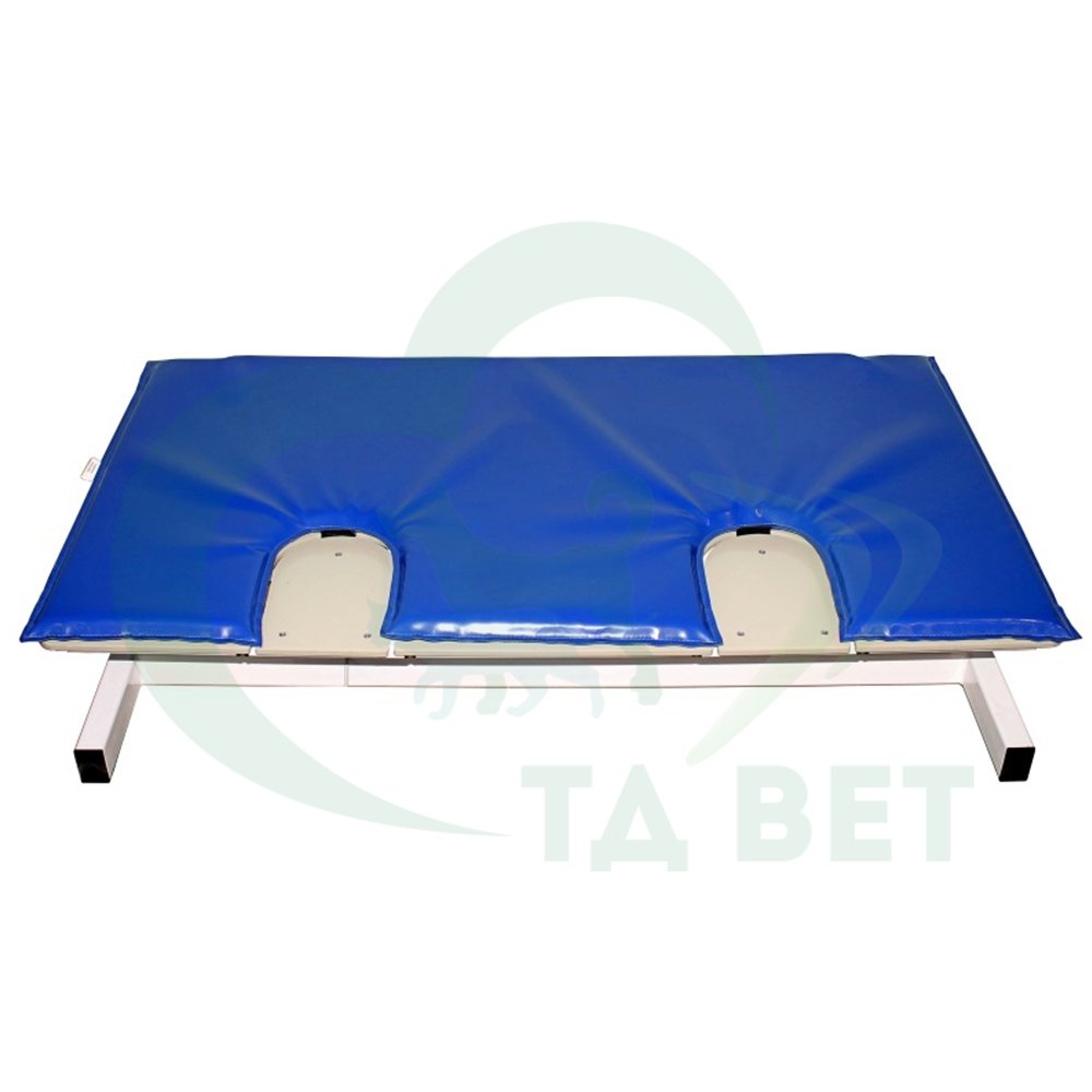 ТД ВЕТ Стол для УЗИ с откидными дверцами VETBOT-75 стол-ца пластик, эл/прив., 1320x720x(330- 1090)h мм (коврик-накладка ) (каркас бел., пульт ручной)