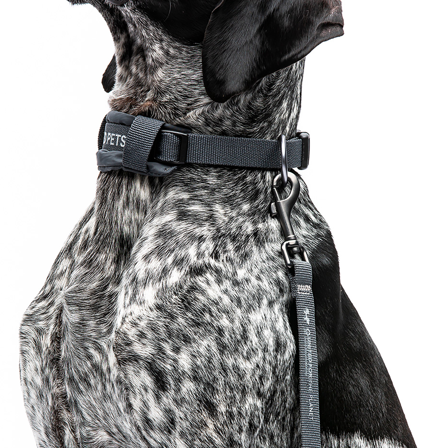 Ошейник United Pets с мягкой подкладкой для собак Citylife L 25 x 40-60 см черный