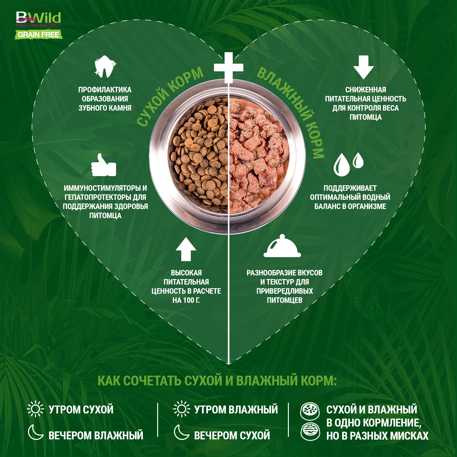 Сухой корм Monge Dog BWild GRAIN FREE для взрослых собак всех пород, беззерновой, из ягненка с картофелем и горохом 12 кг