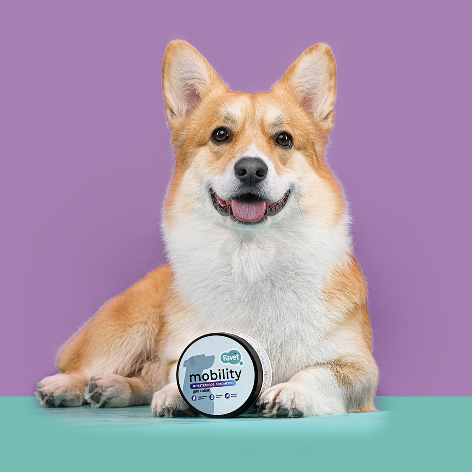 Favet Функциональное лакомство PetPantel Soft Chews для мышц и суставов для собак, 120г